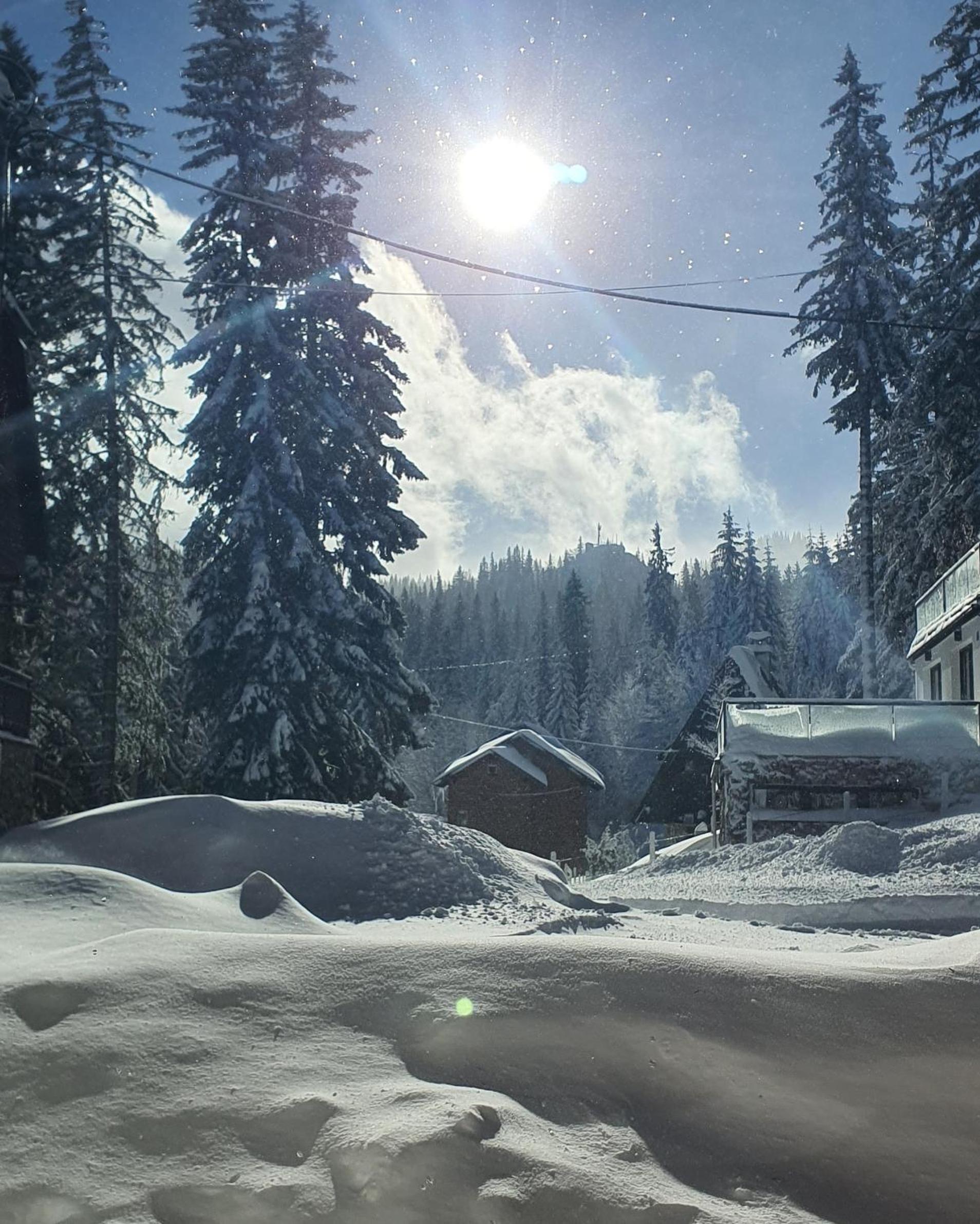 Jahorina Villa IN