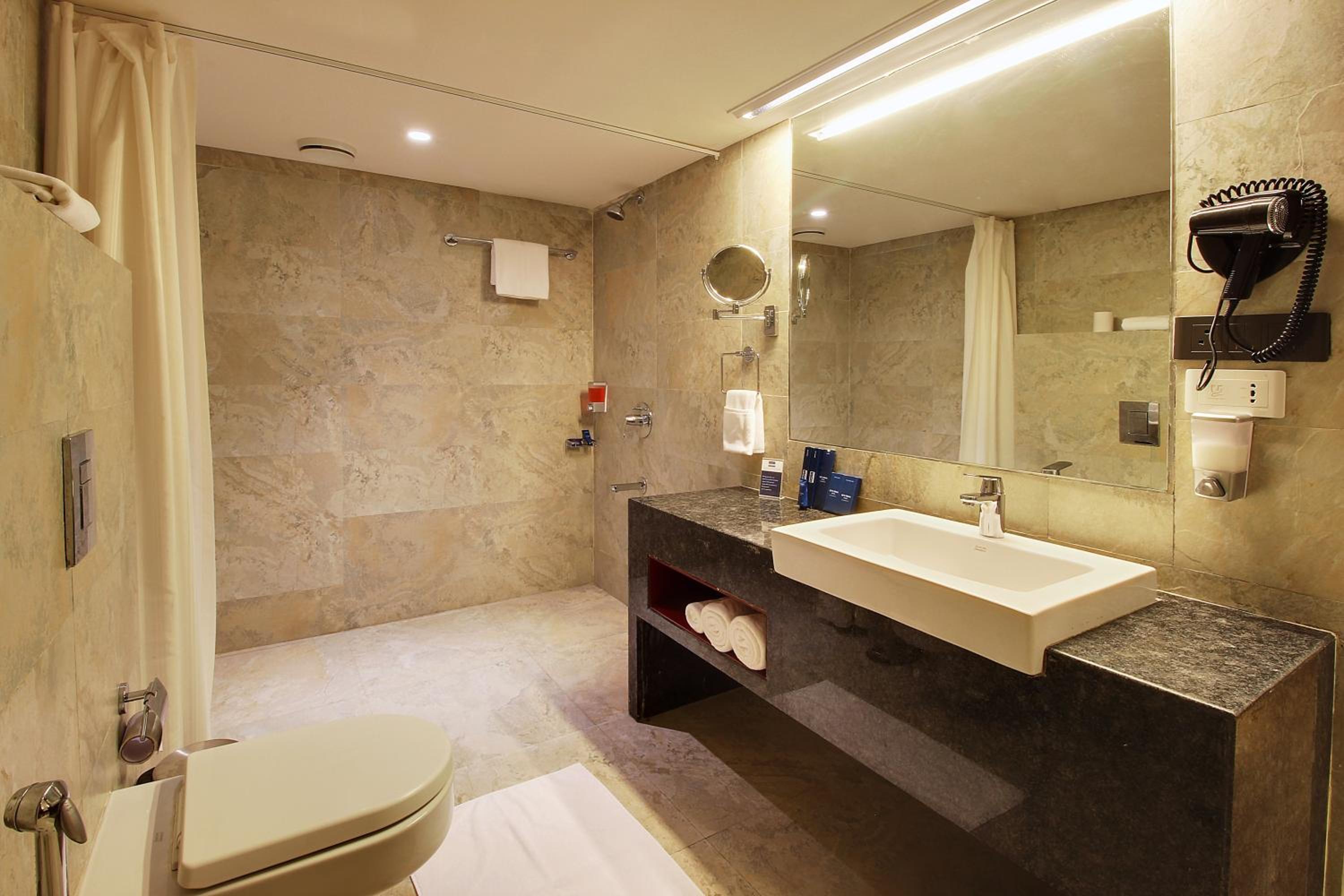 Shirdi Vacations - Temple Tree Hotel Shirdi - Property Image 5