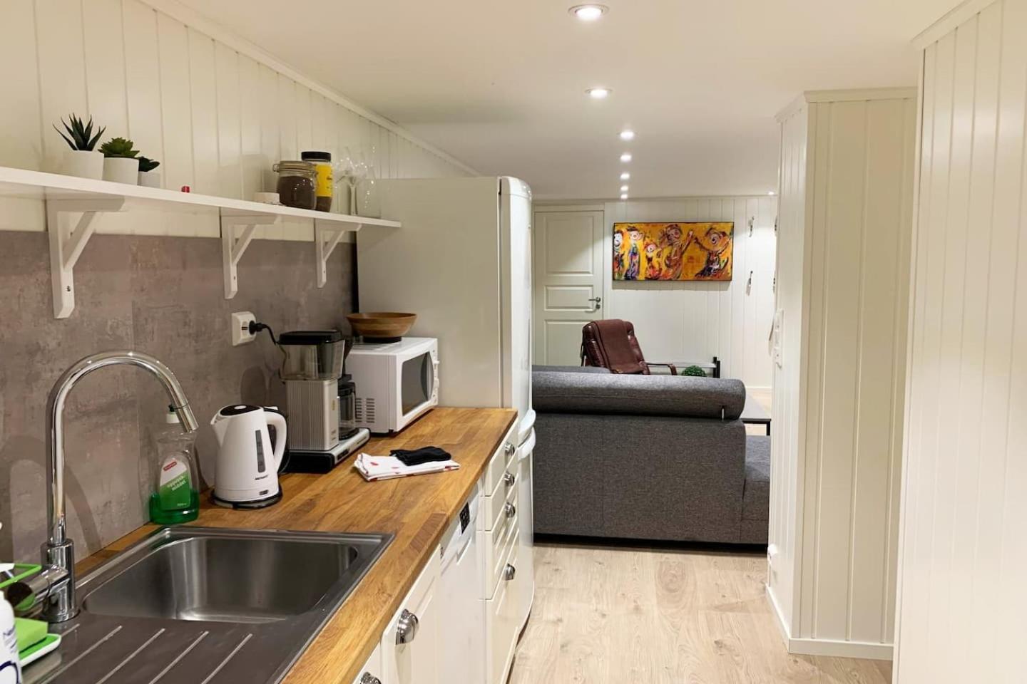 Newly renovated basement apartment view 3