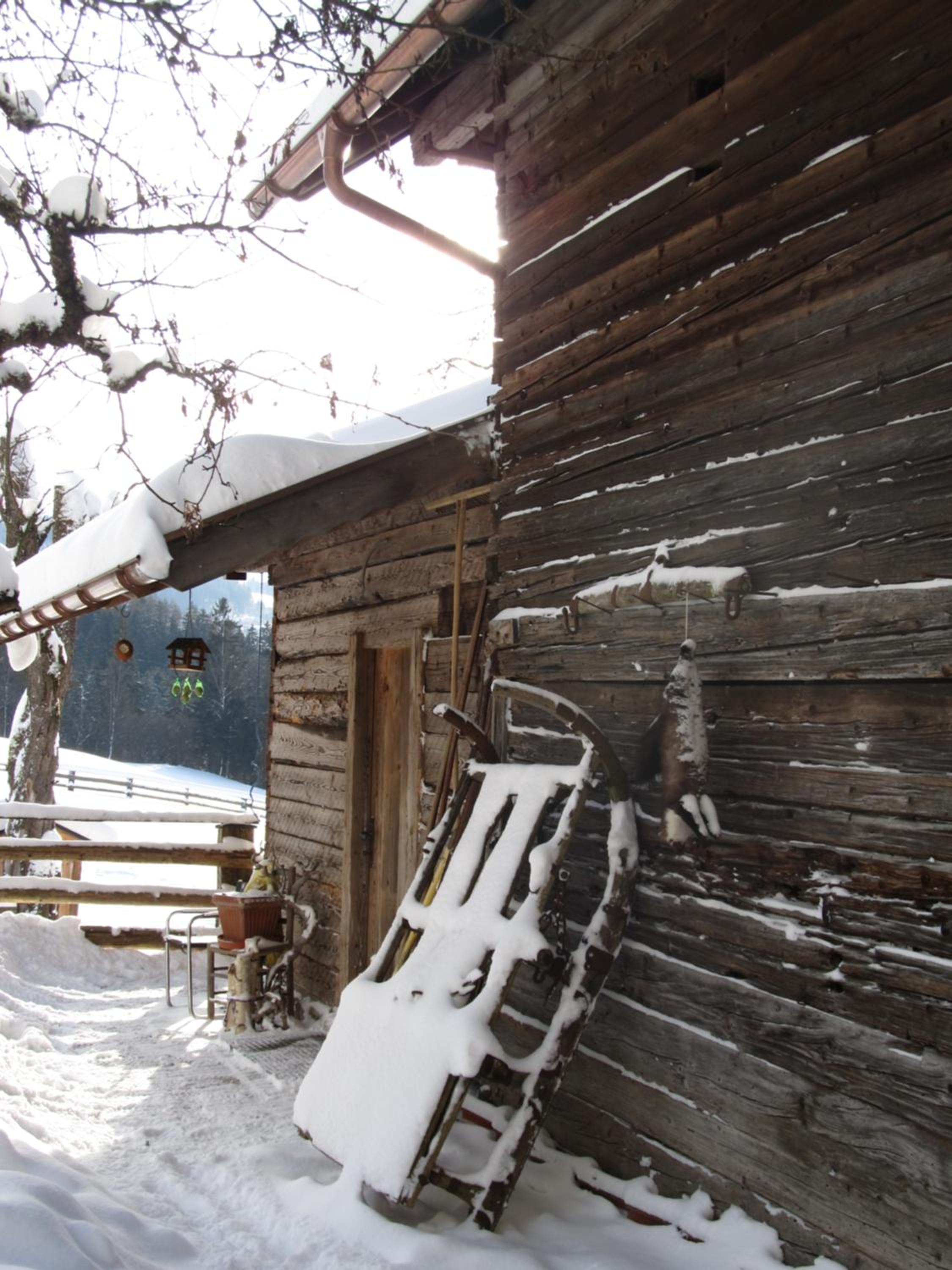 Photo 41