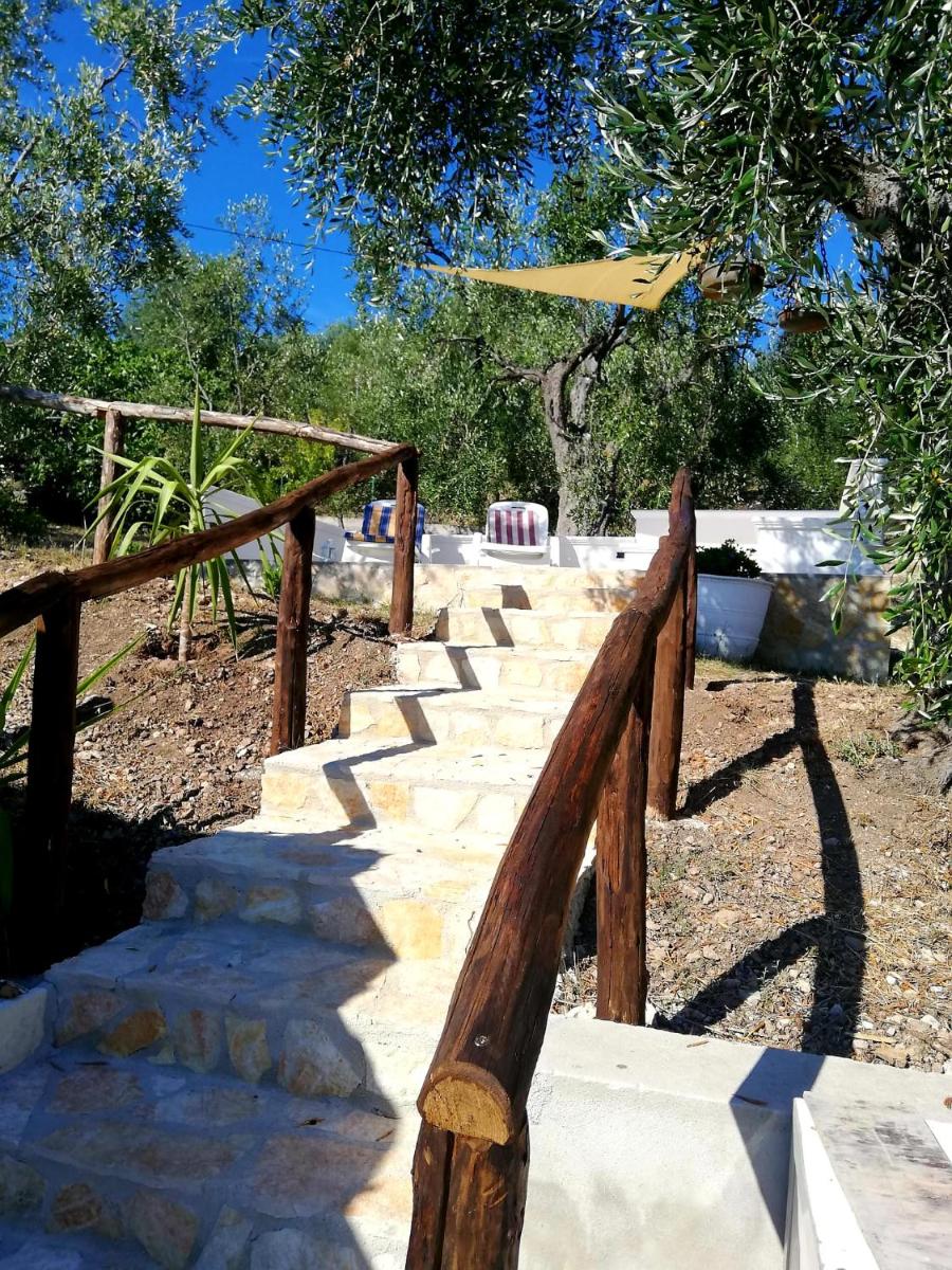 Photo 45