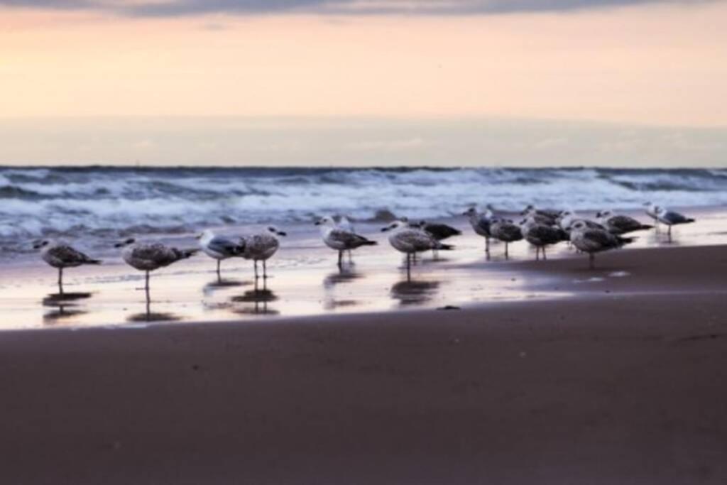 ZeeZonZand