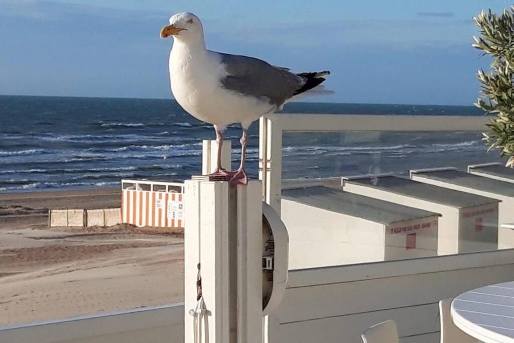 ZeeZonZand