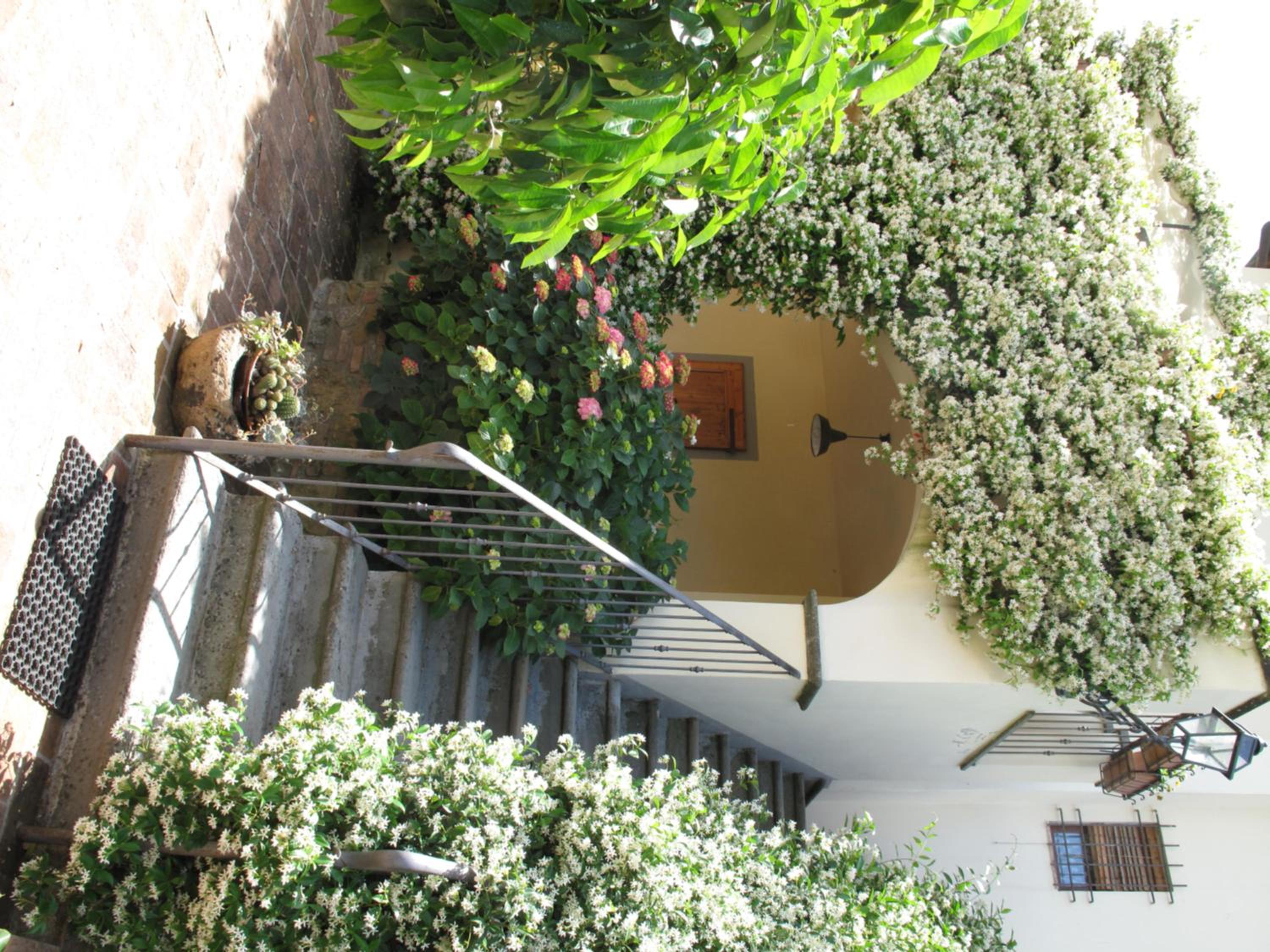 Photo 36