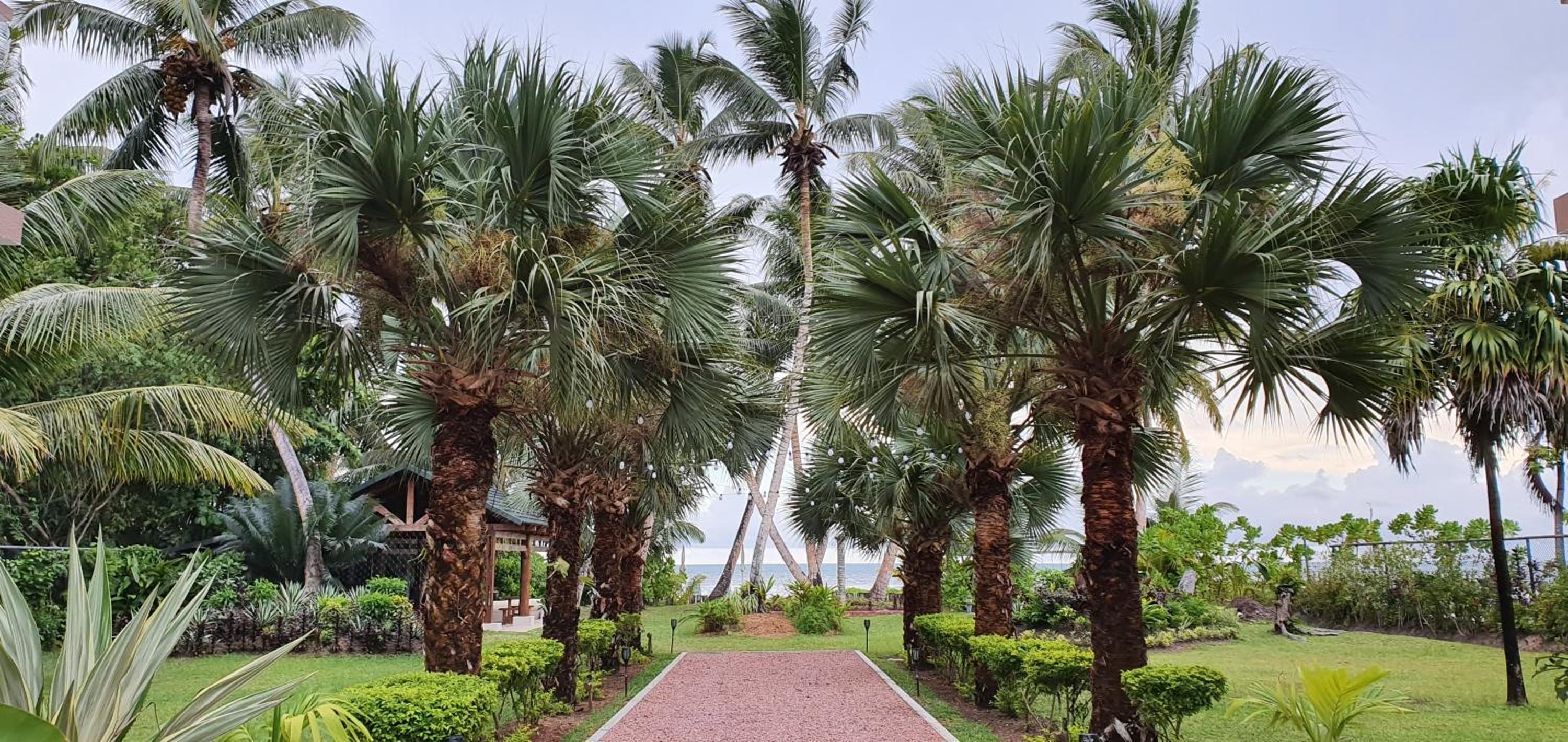 Ocean Jewels photo 2