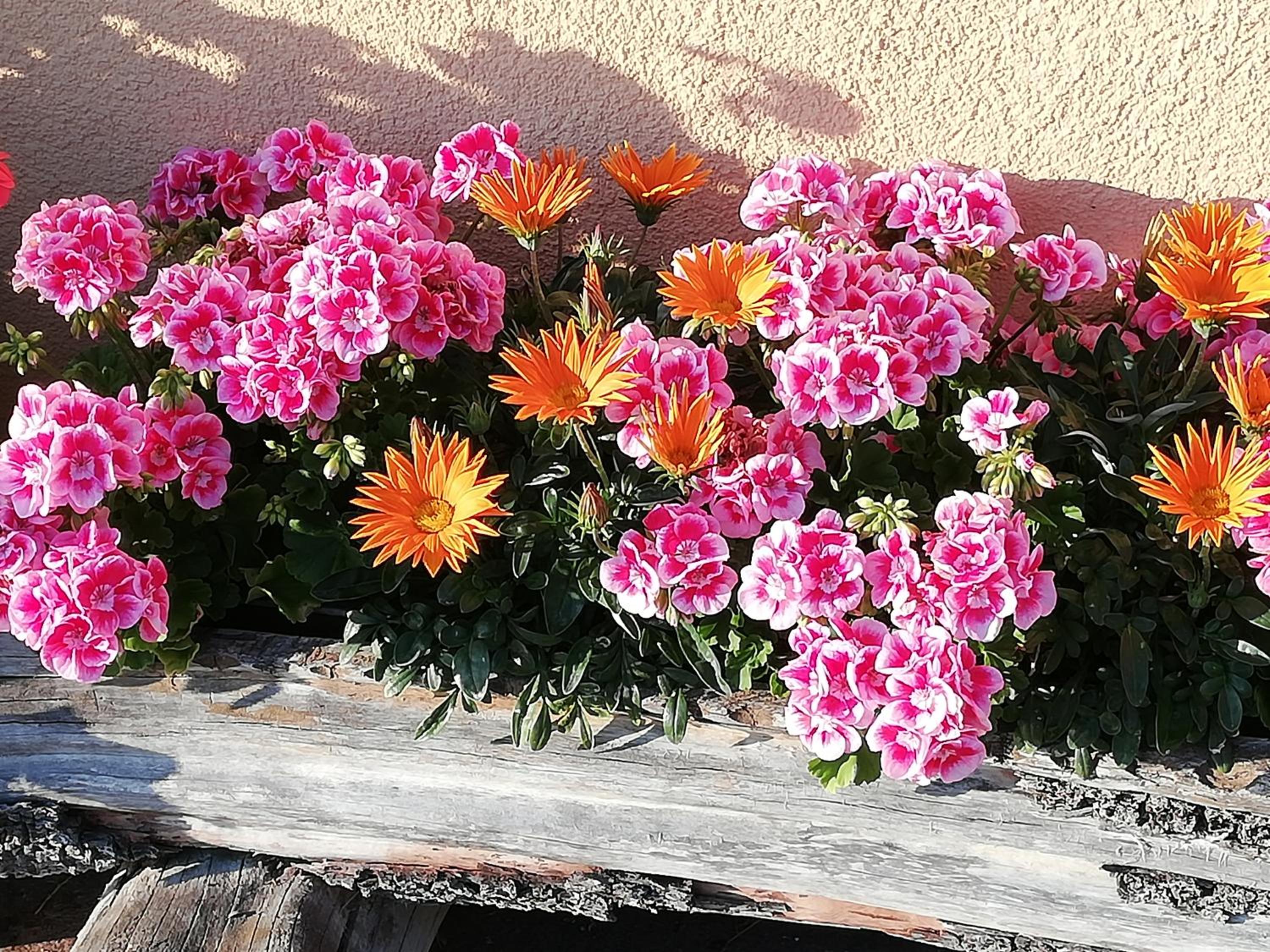 Ferienwohnung Angerlgut