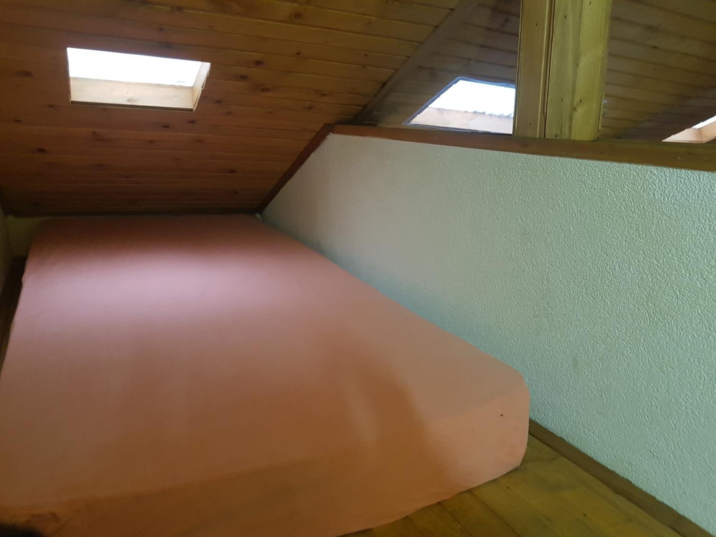 Winter house in Noah's Ark