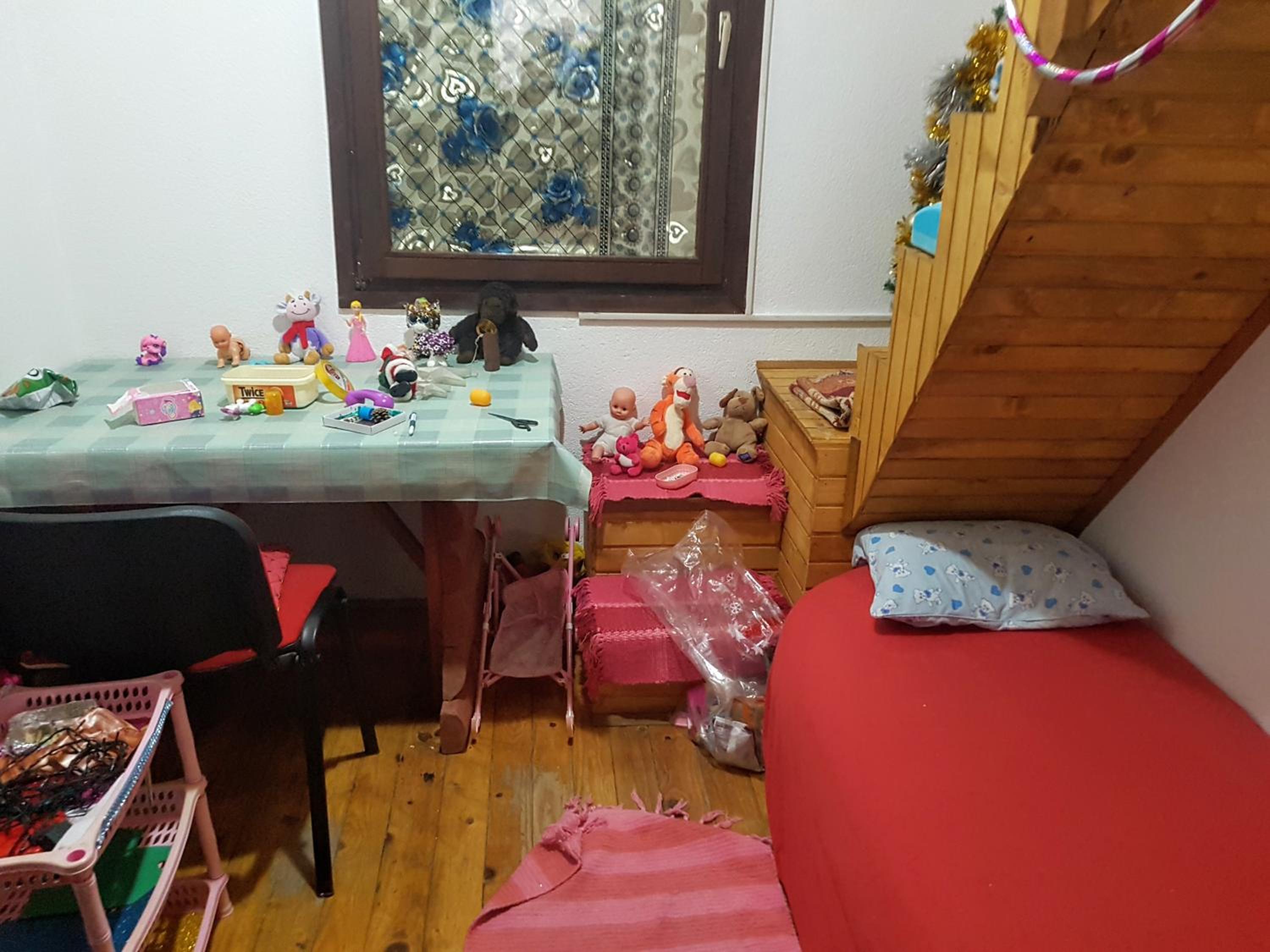 Winter house in Noah's Ark