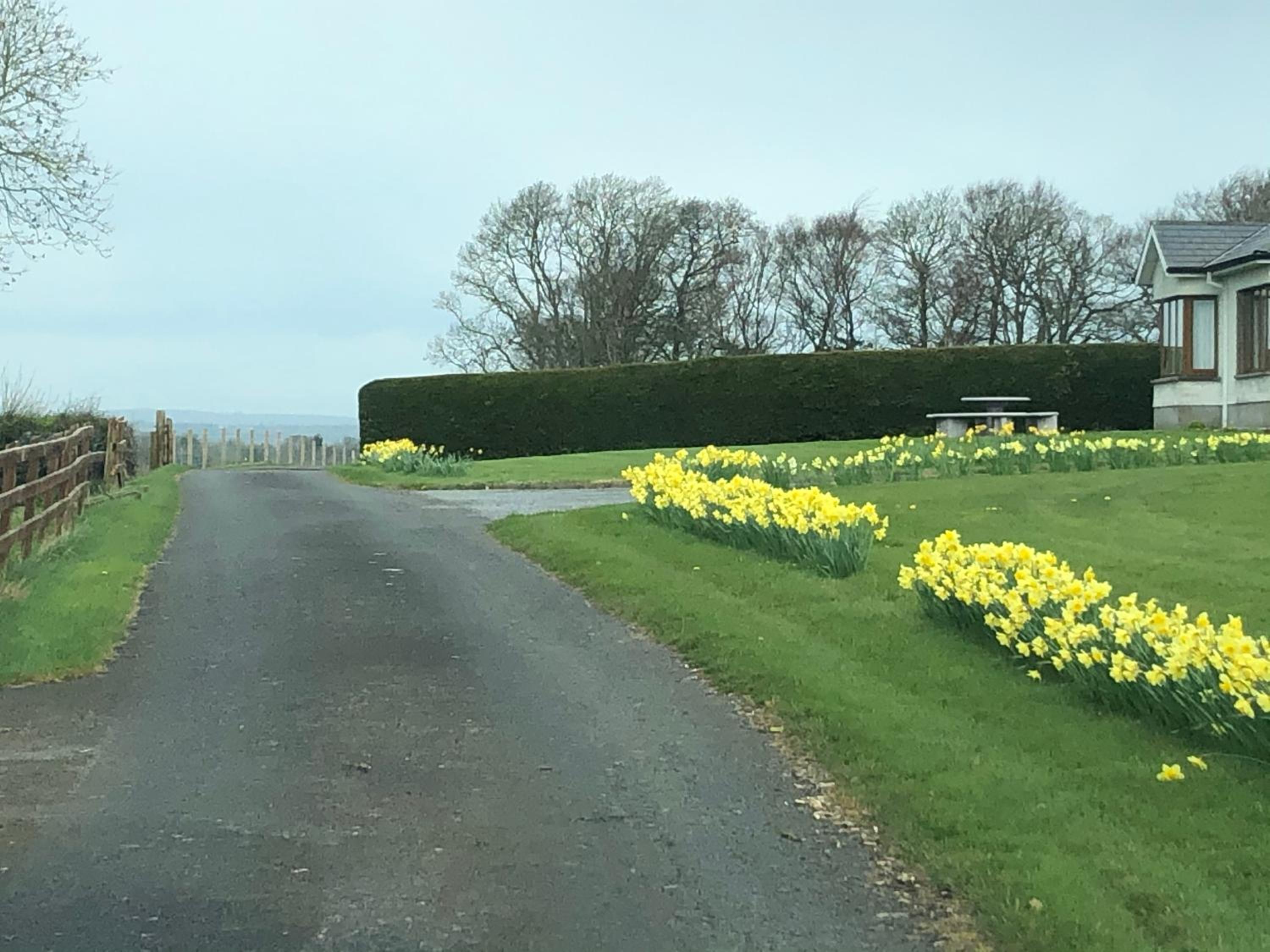 The Bungalow Knockreagh Farm Kilkenny R95AX50 view 2