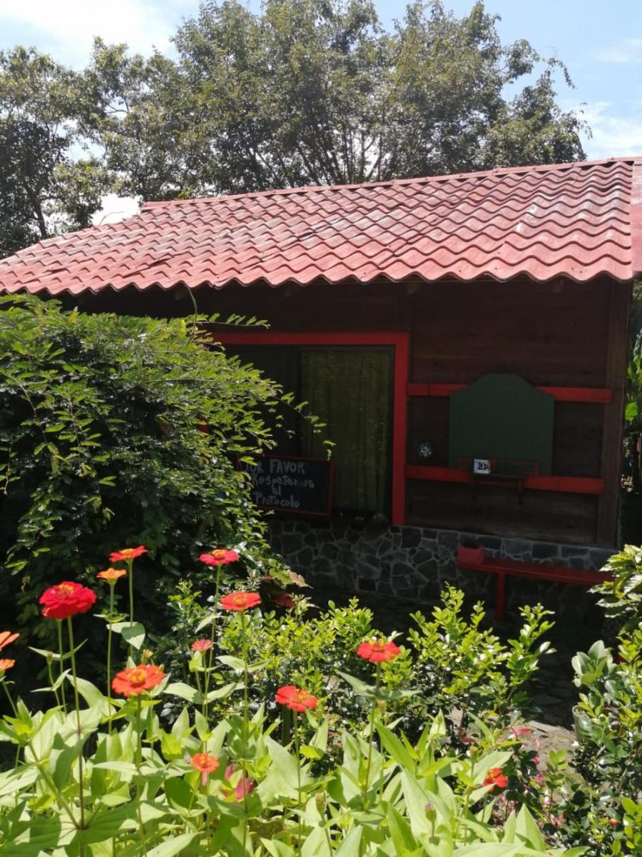 Hotel The House of Hummingbird - Image 1