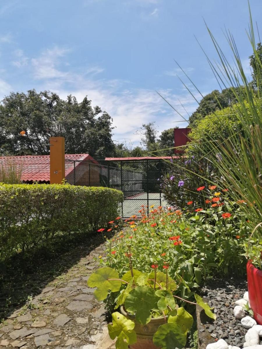 The House of Hummingbird view 2