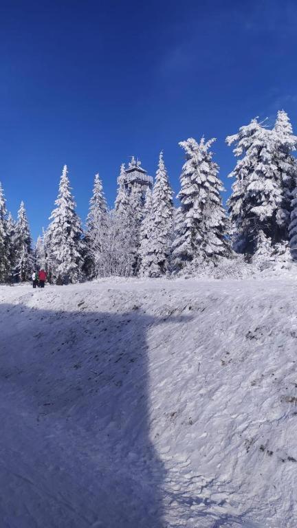 Apartmány Trio Krkonoše view 5
