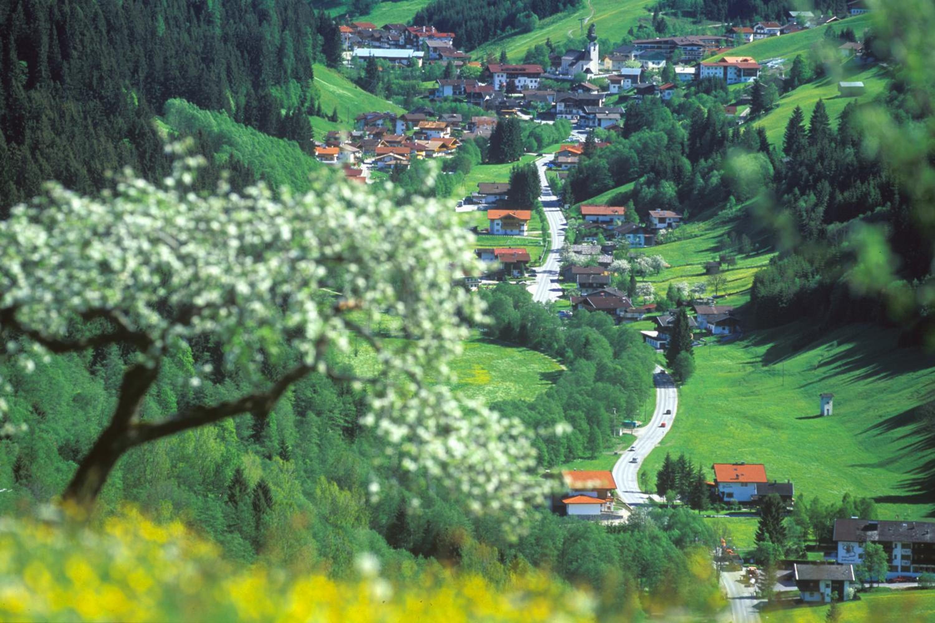 Appartementhaus Talwinkel