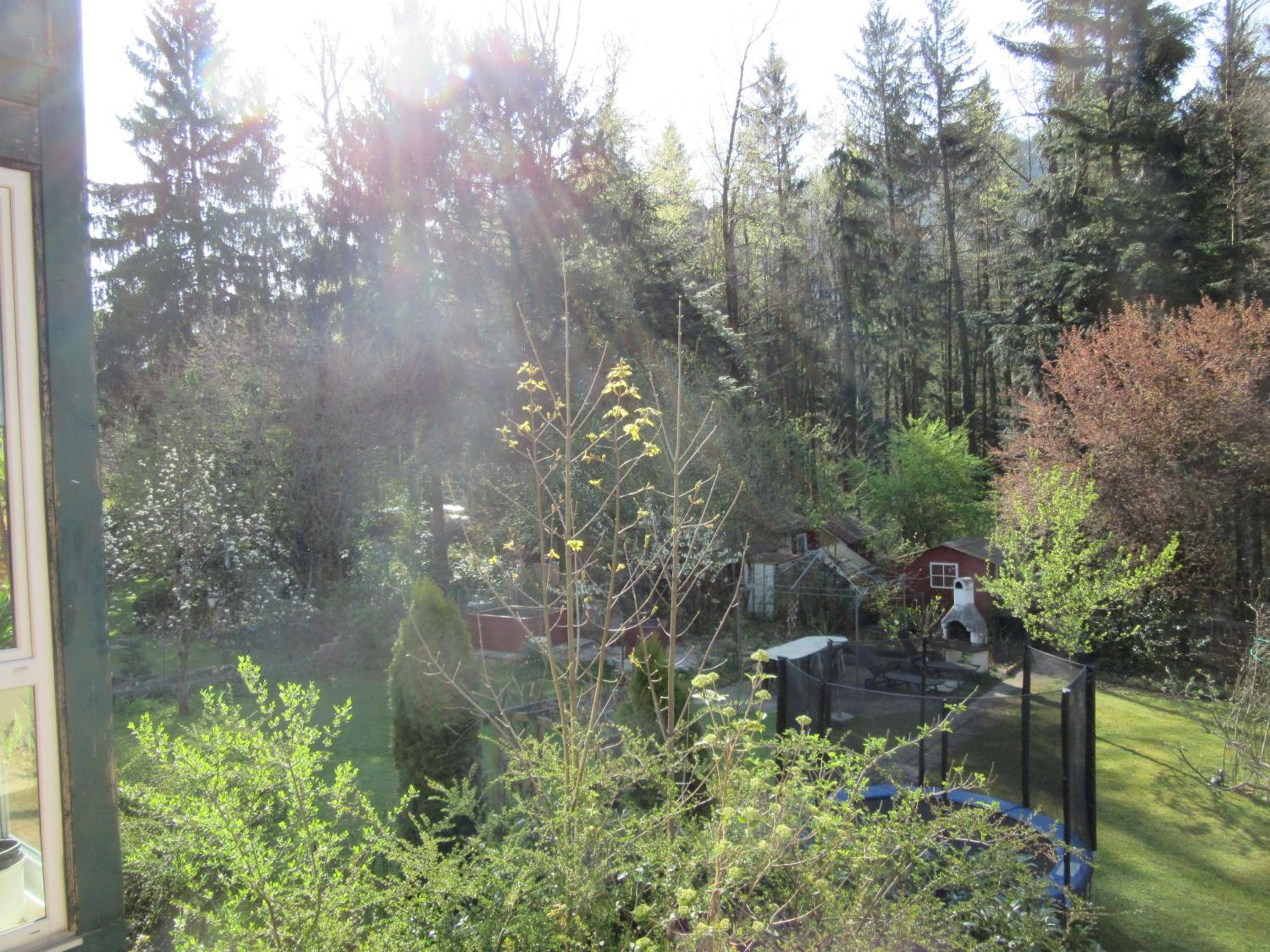 Photo 32