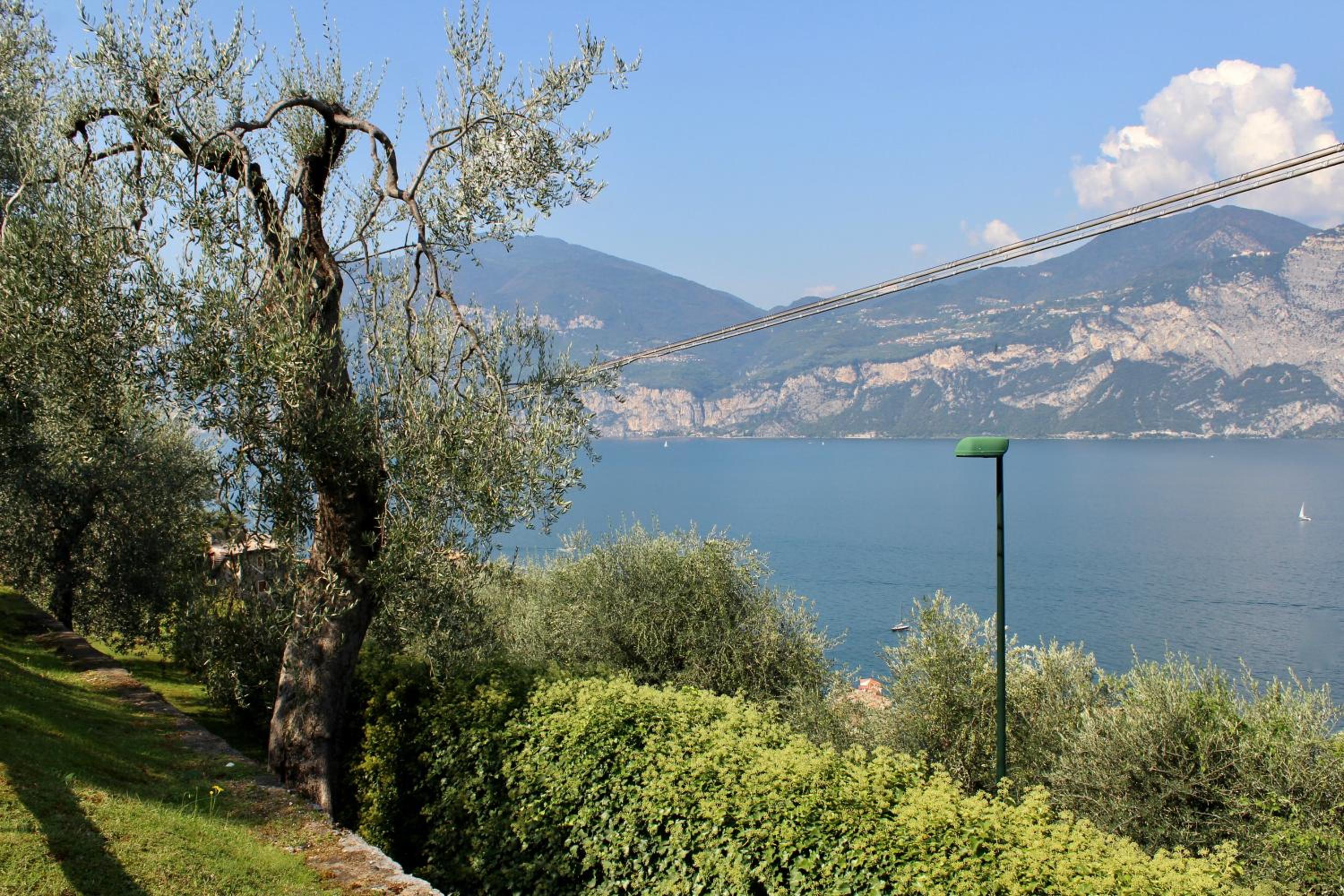 Photo 25