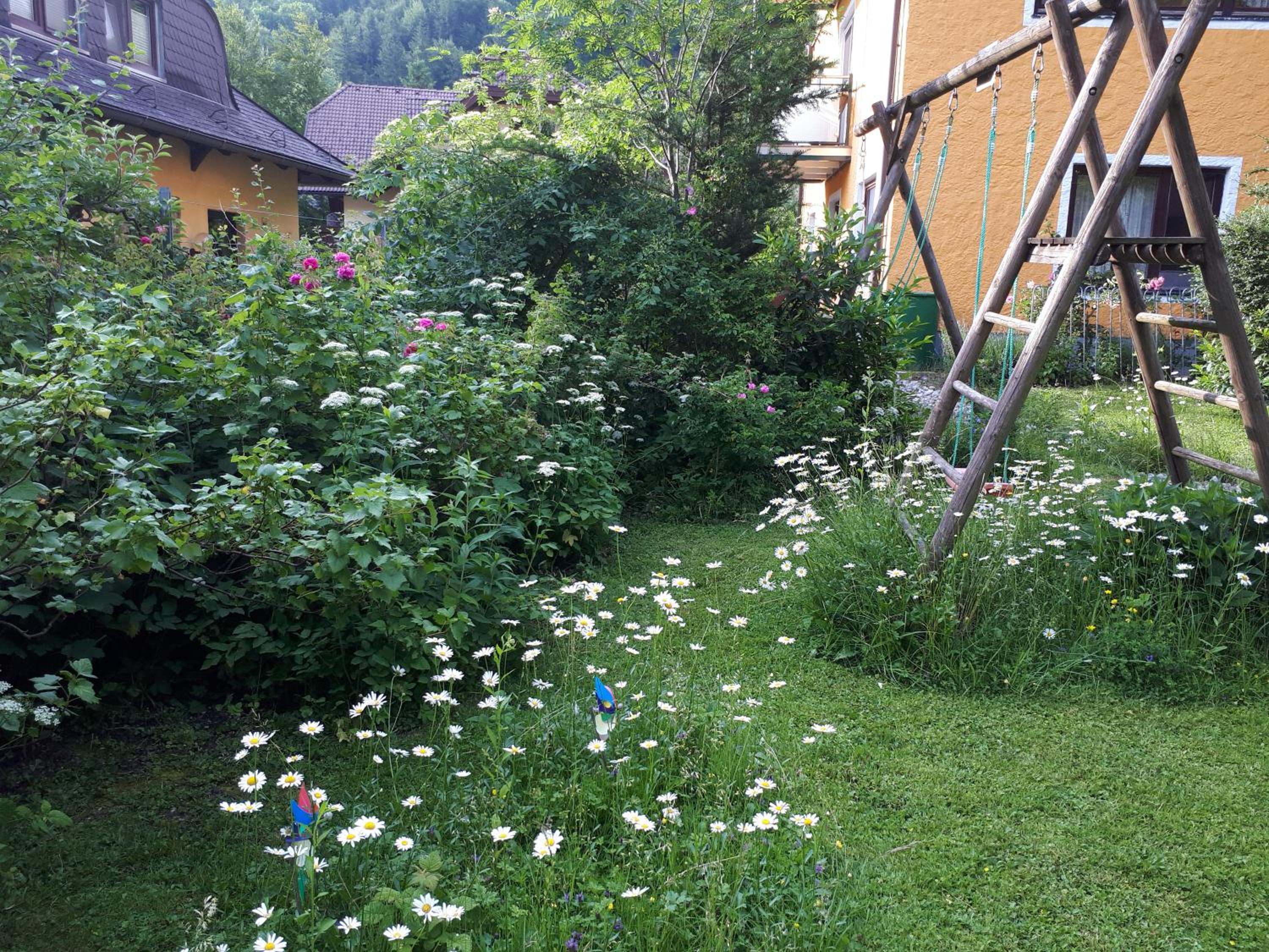 Photo 36