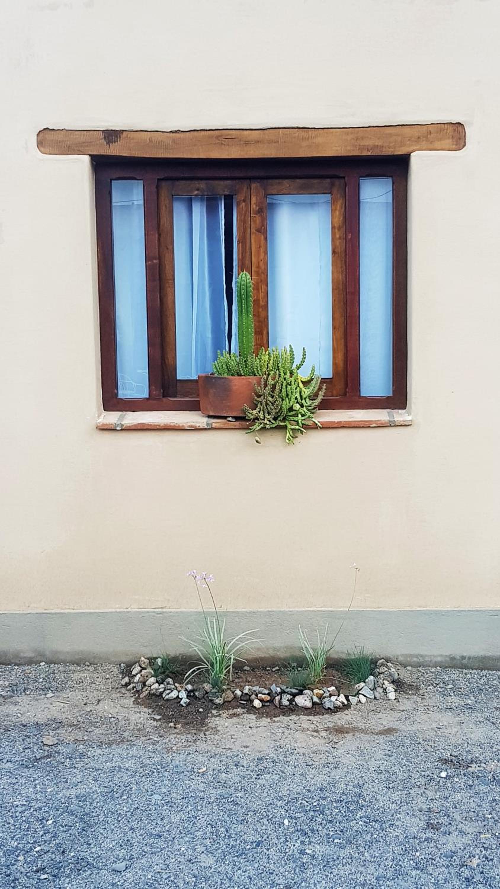 Terraza del Molle