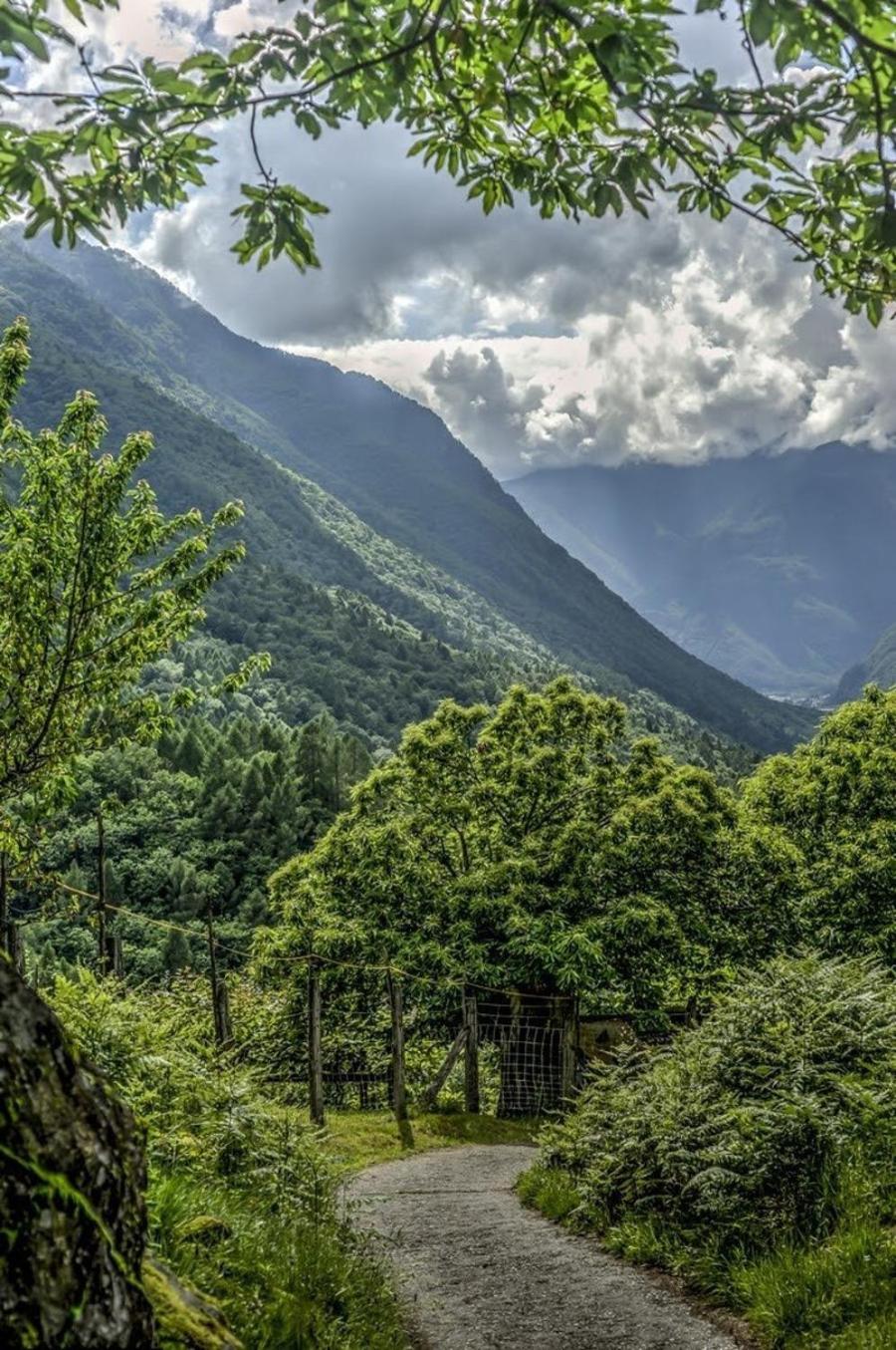 Grotto Zendralli