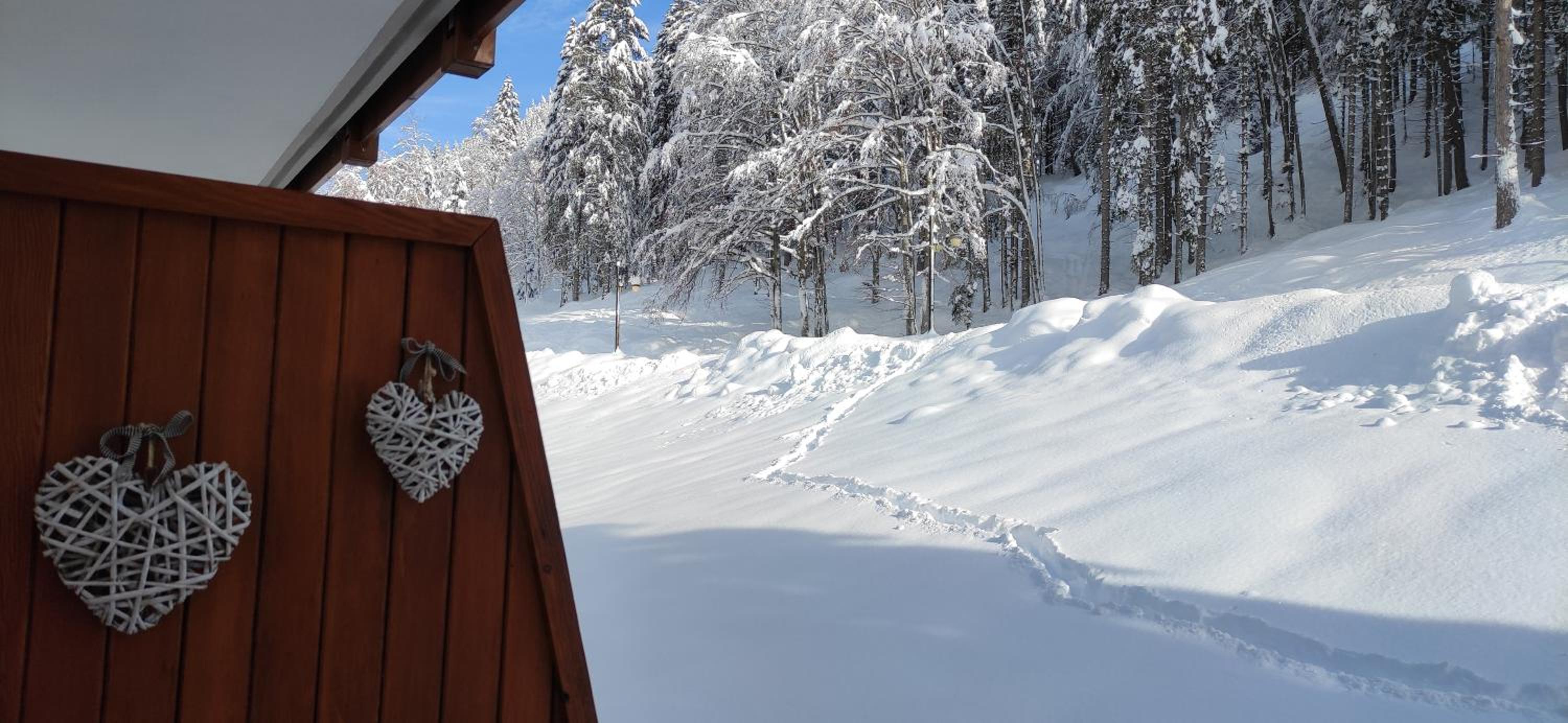 Appartamento Campiglio