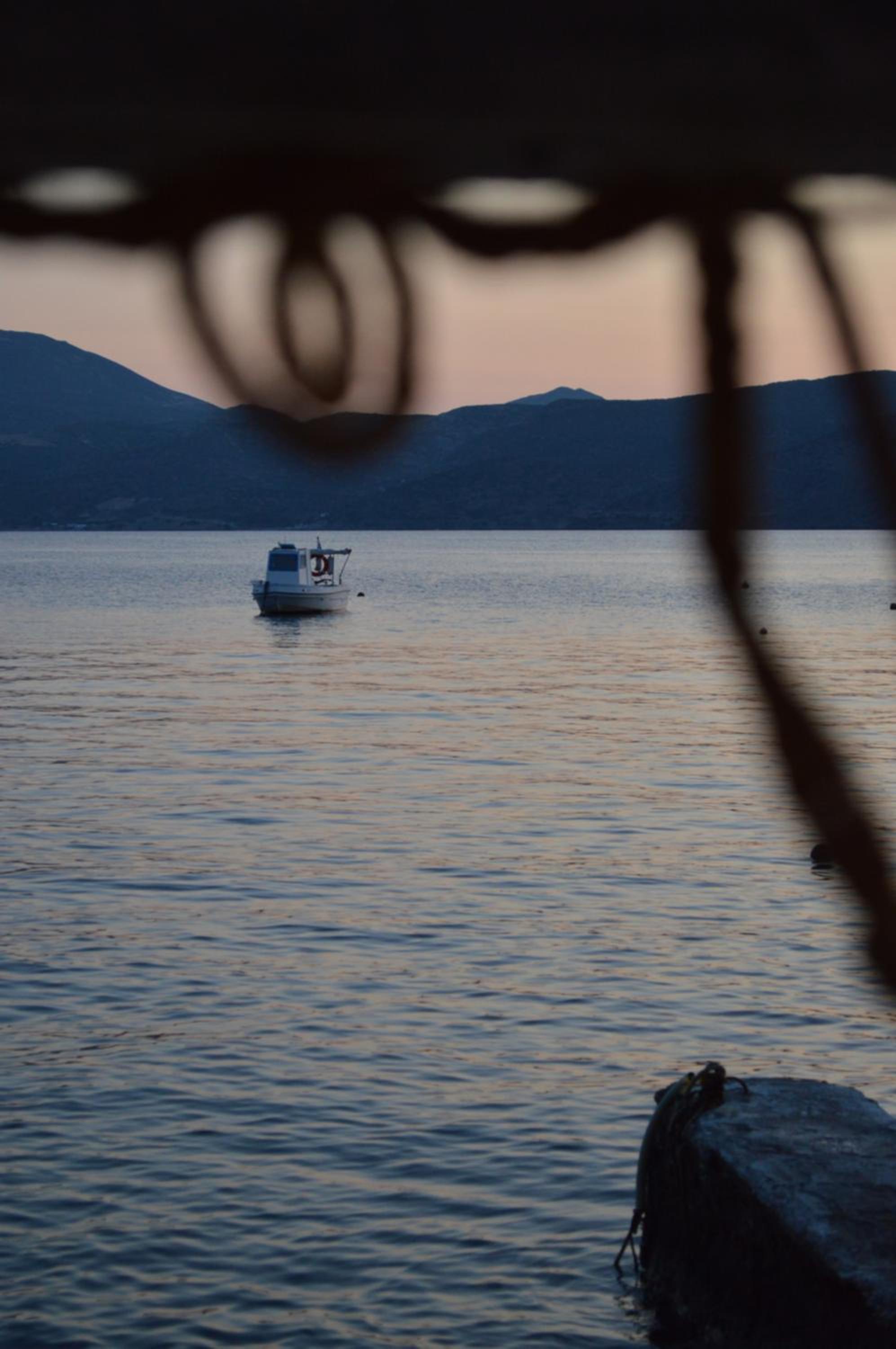 Photo 46