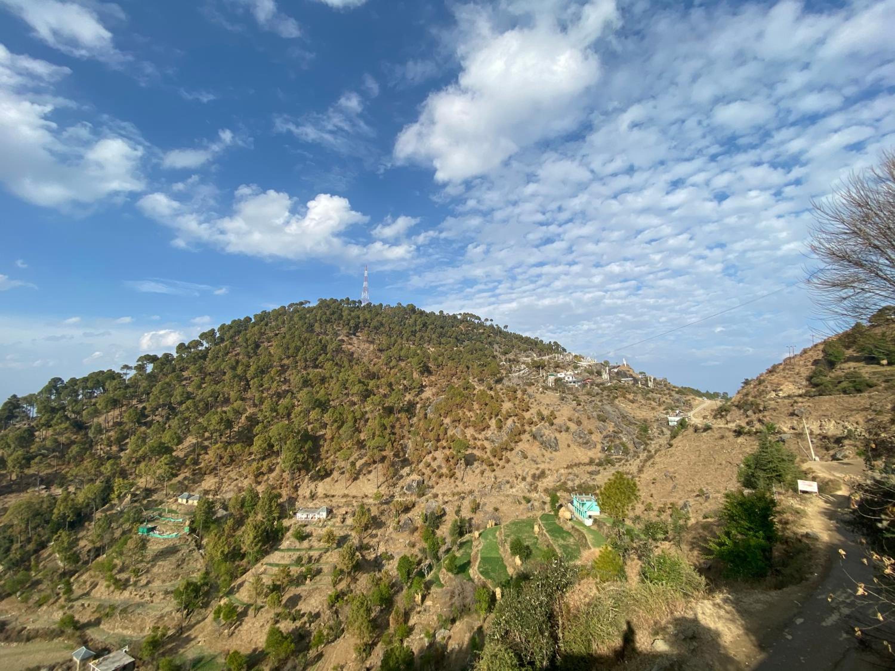 Sharma Home Stay sarkidhar , Cute Mountain view 4