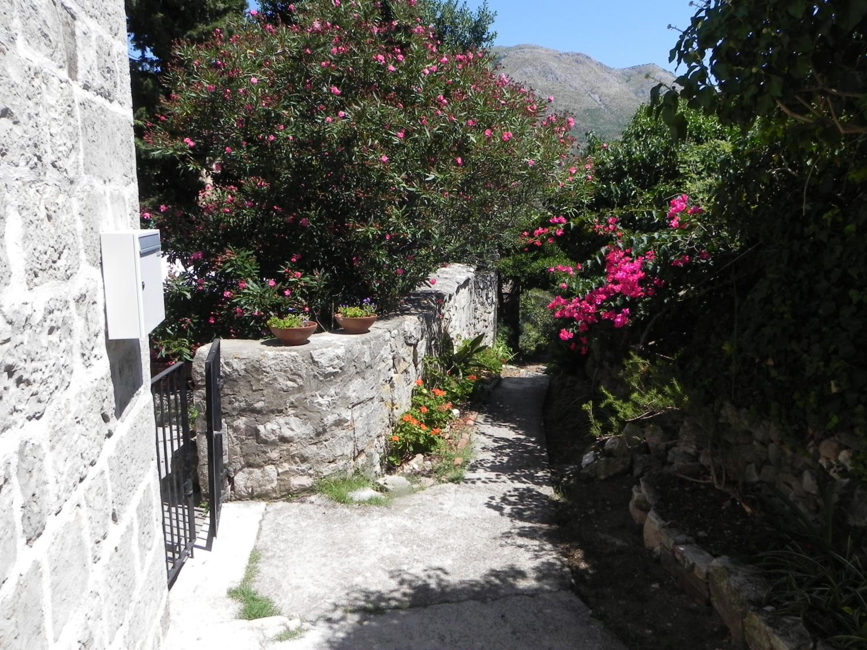 Villa By The Sea Near Dubrovnik view 4