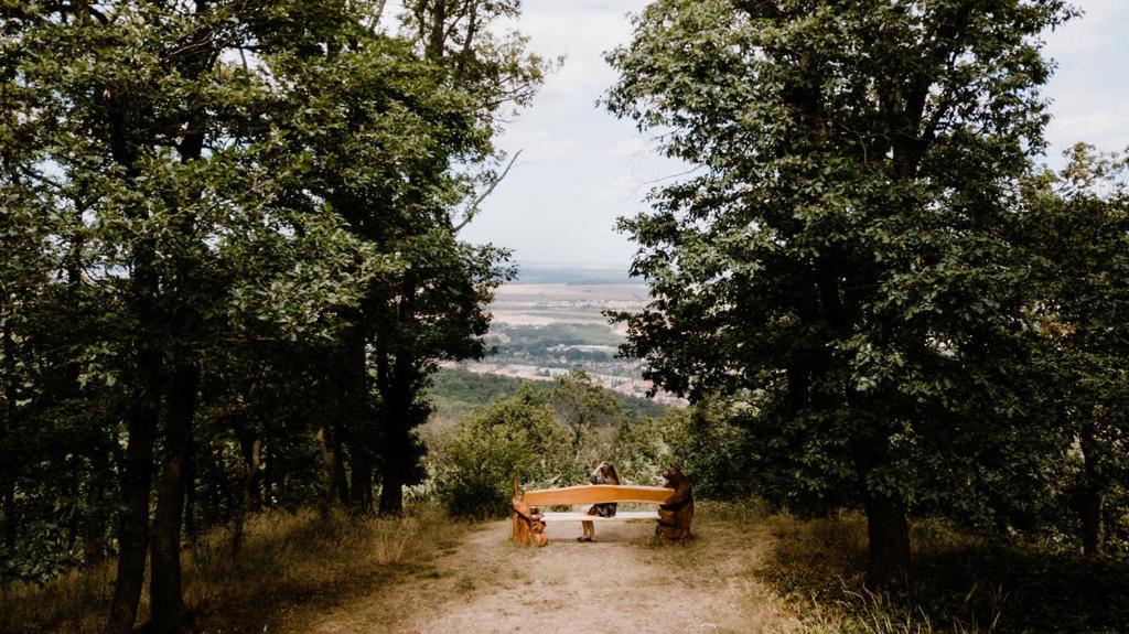 Naturtraum Georgshöhe view 5