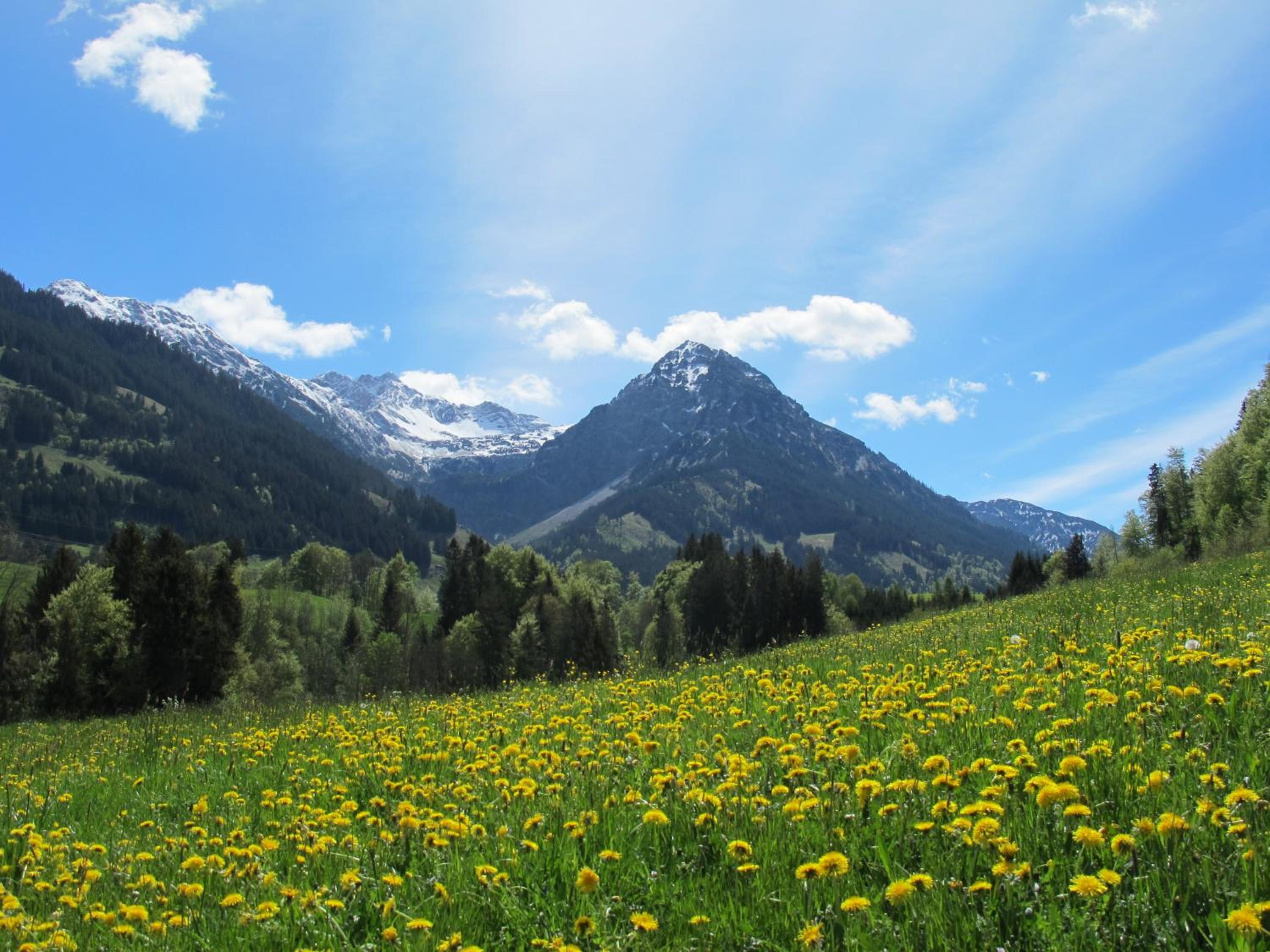 Hornblick FEWO- ab Mai freie Fahrt mit Bergbahnen