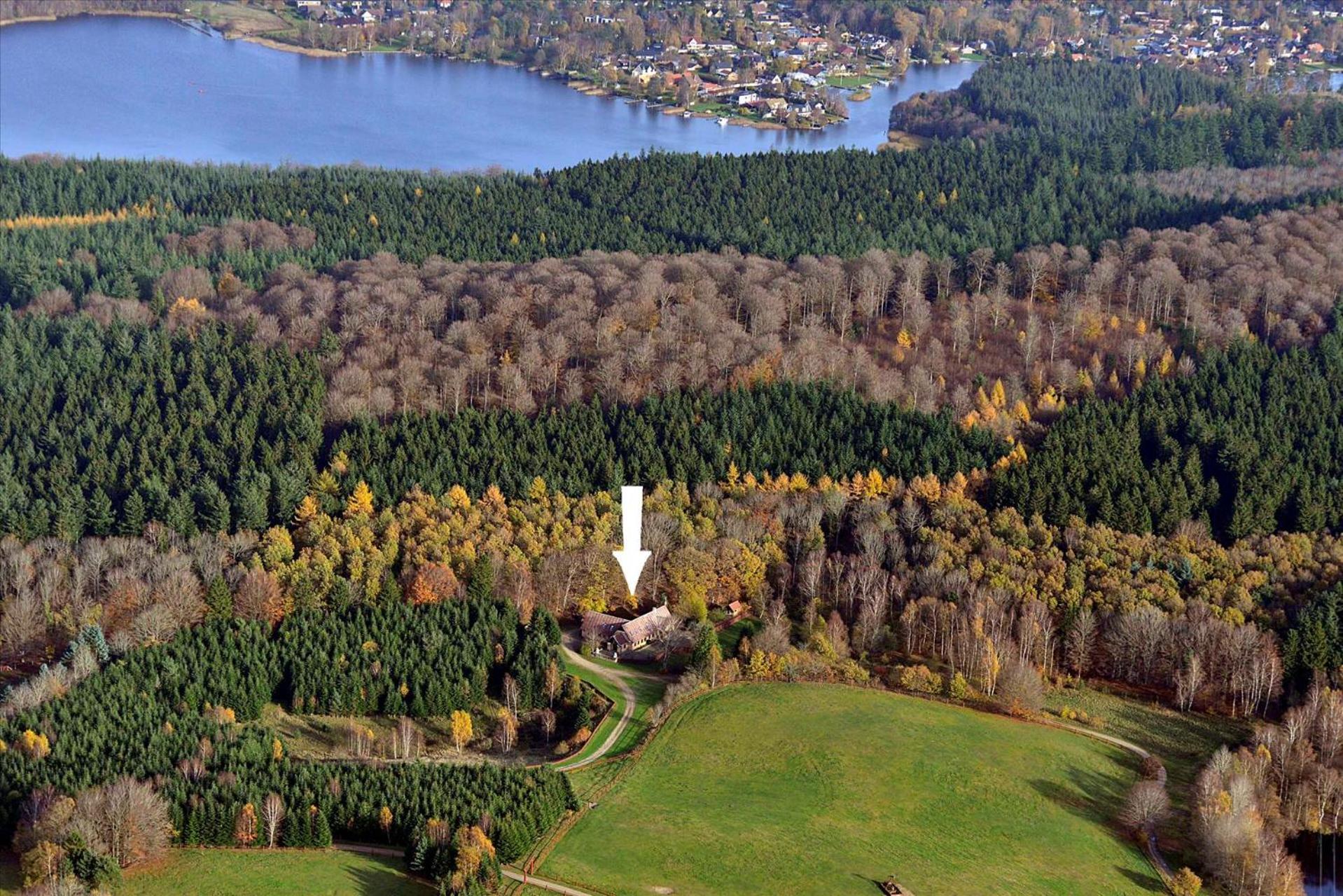 Borgdal