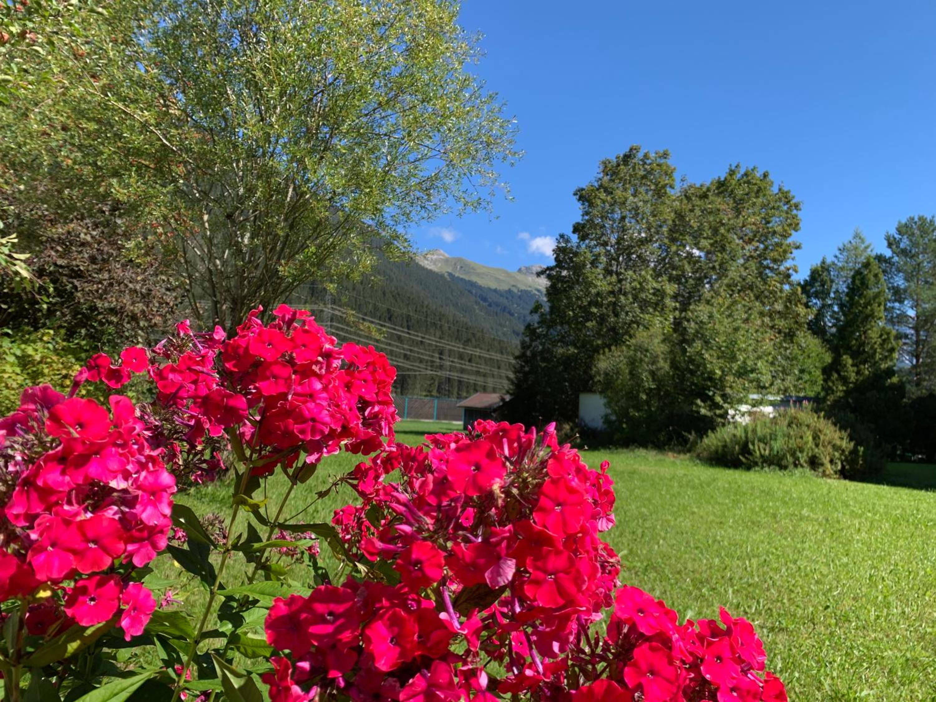 Chalet Villa Alpen Lodge