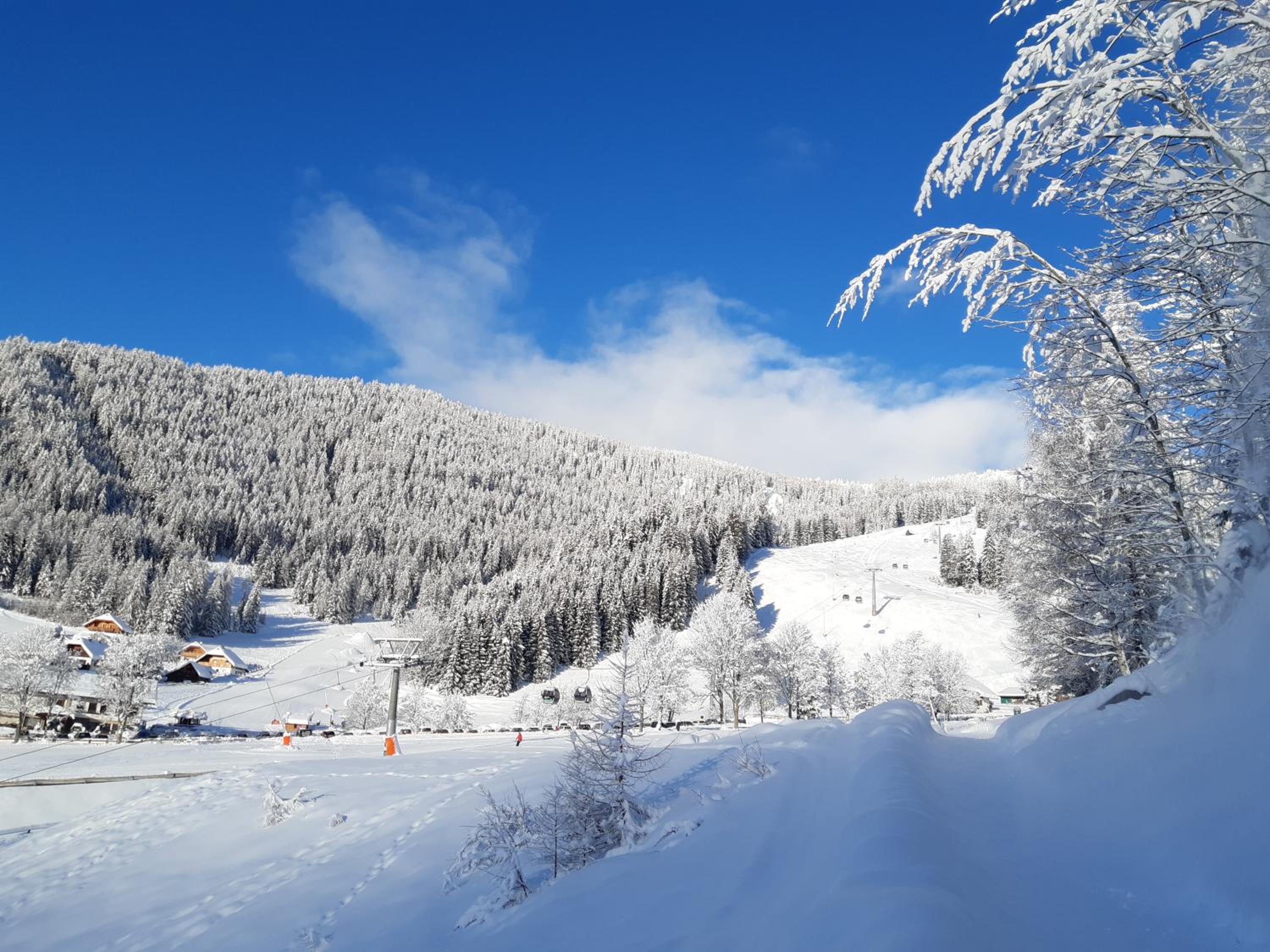 Chalet Verdino