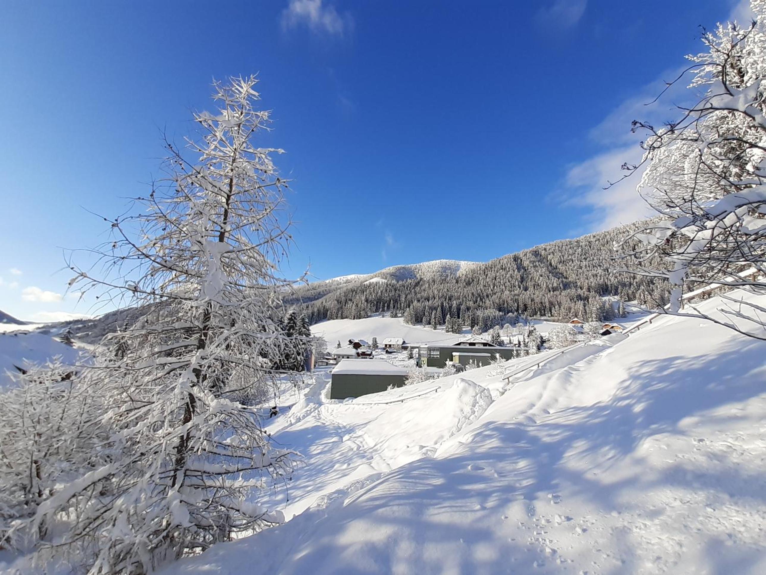 Chalet Verdino