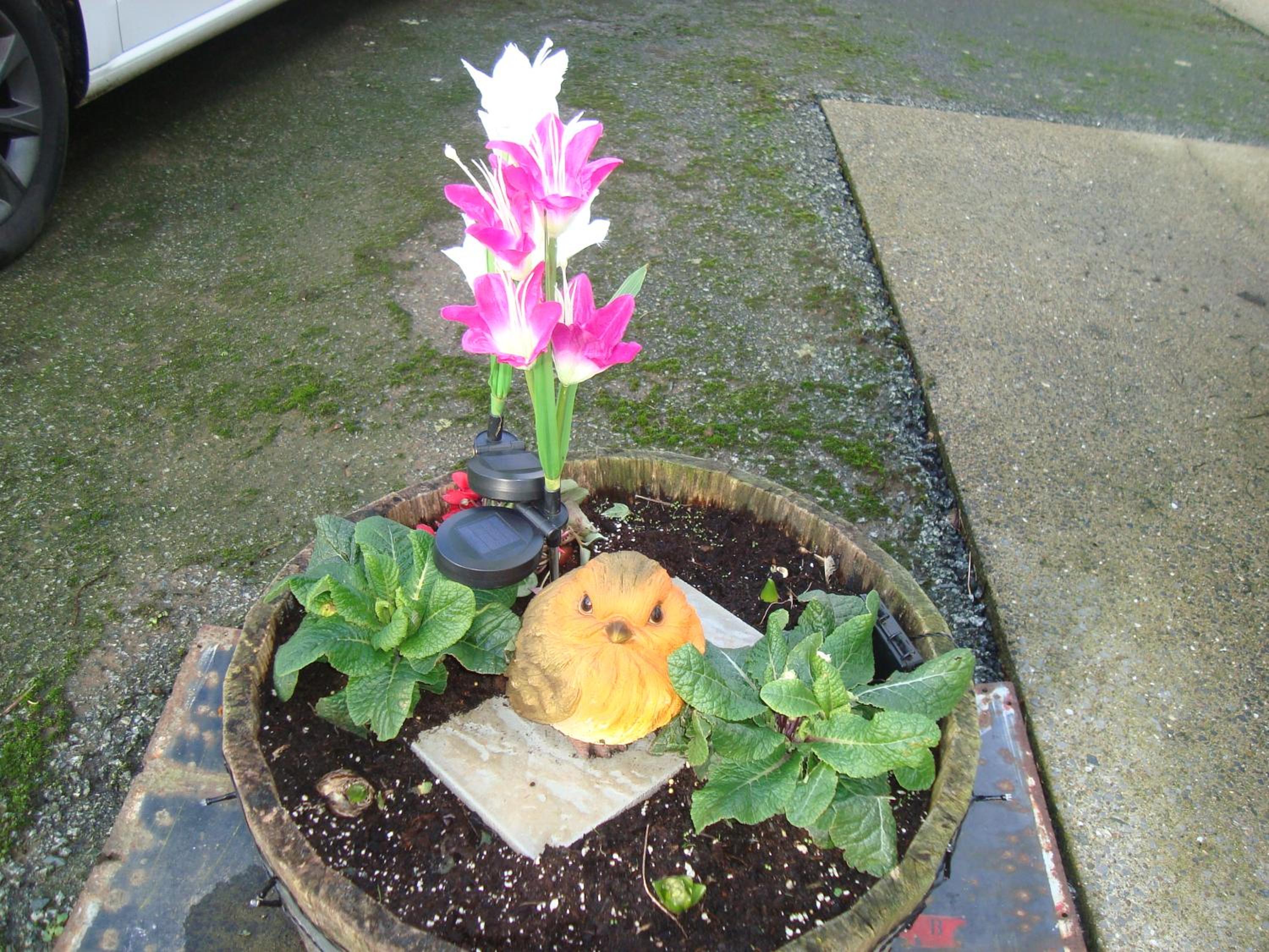 Photo 27