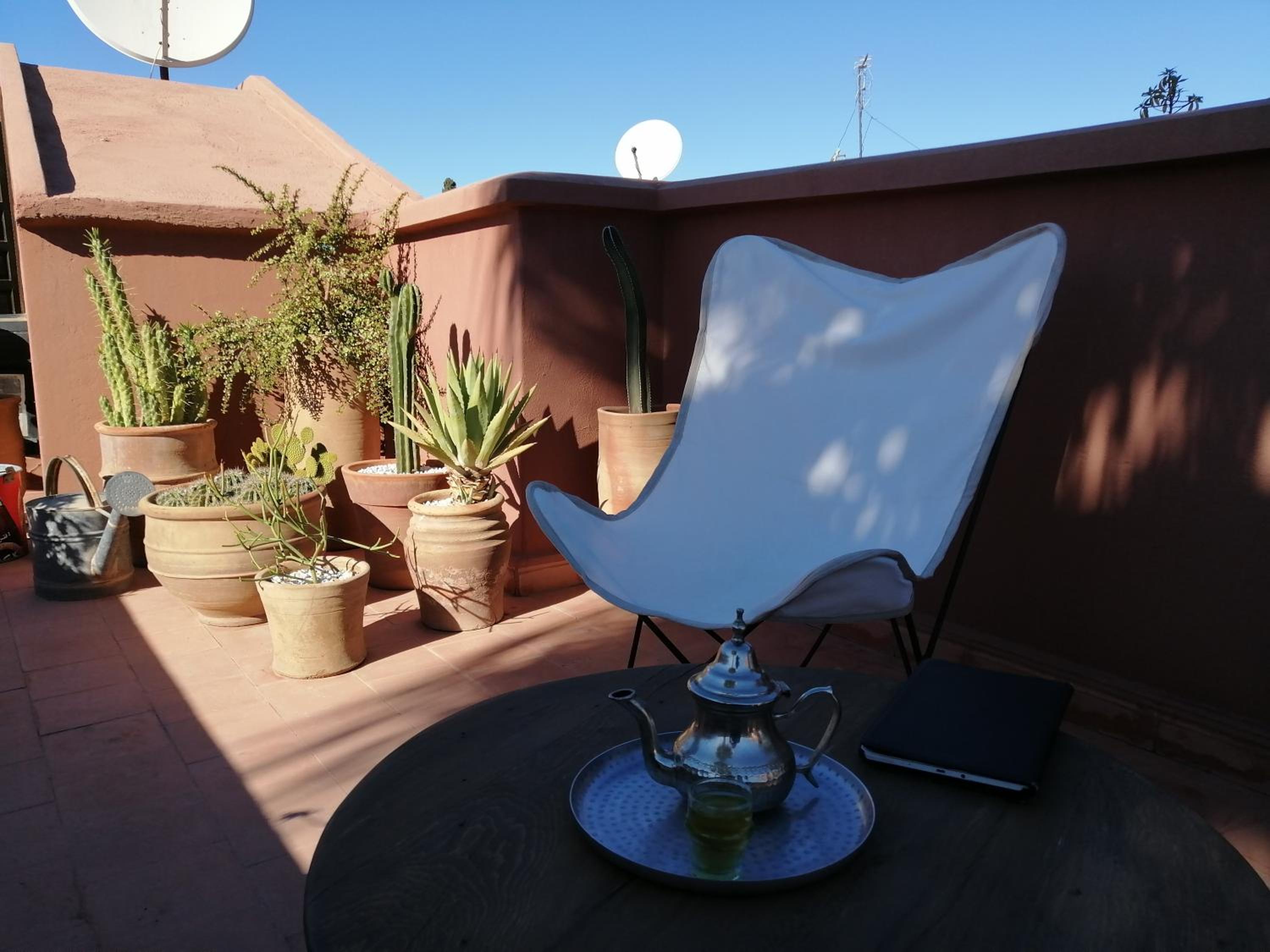balance & terrace