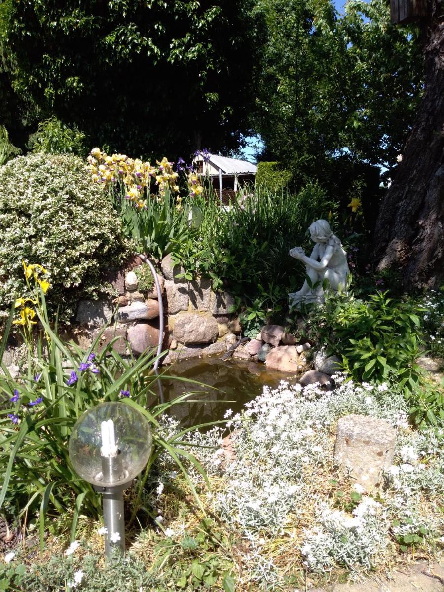 Photo 29