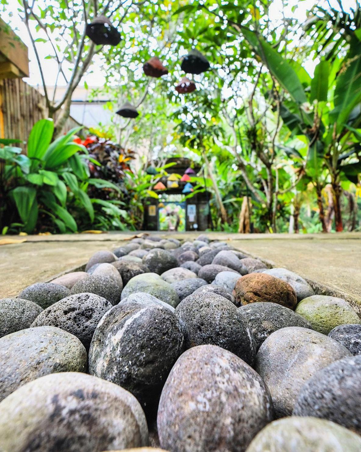 Alam Sembuwuk Ubud view 3