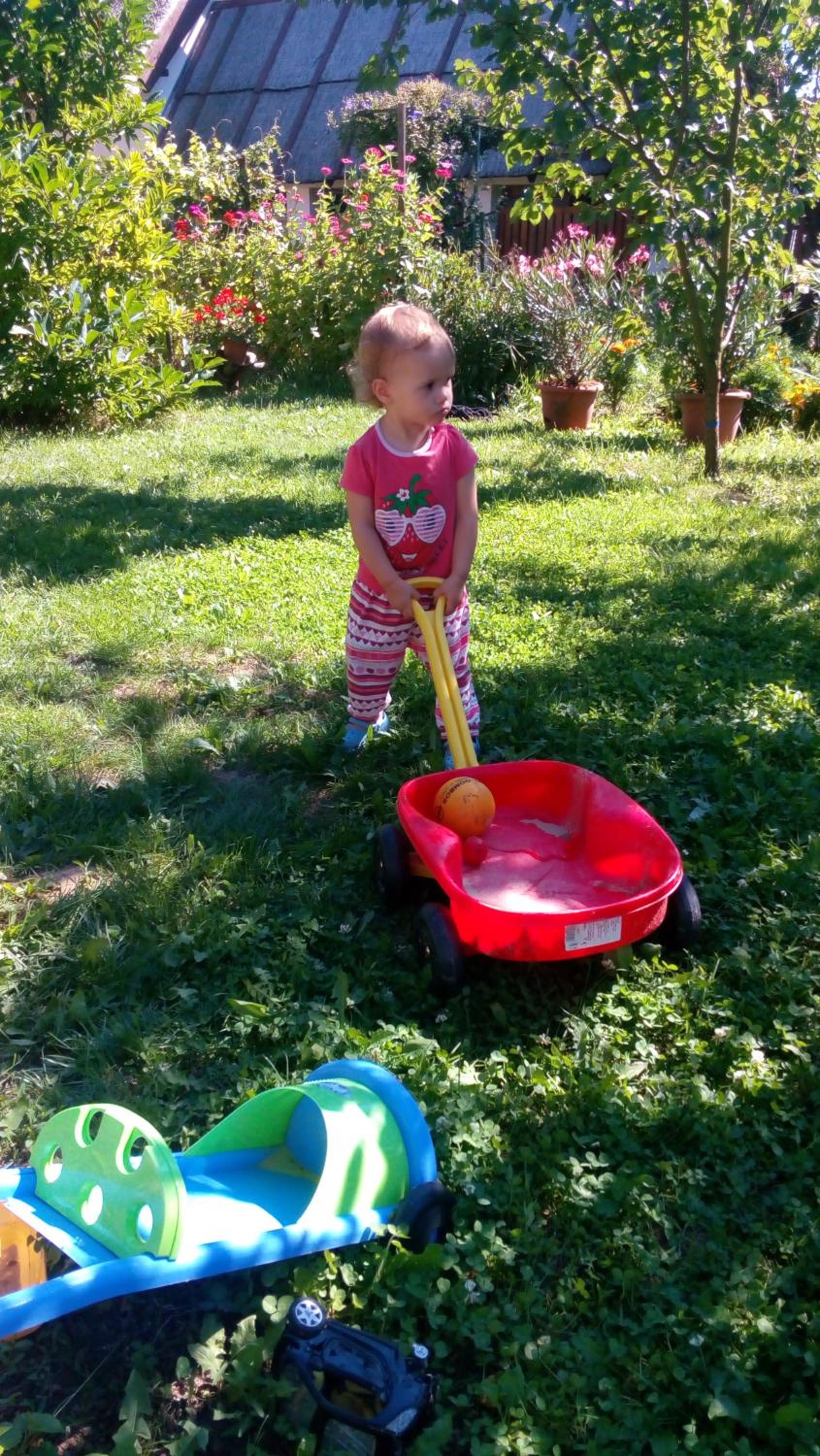 Photo 37