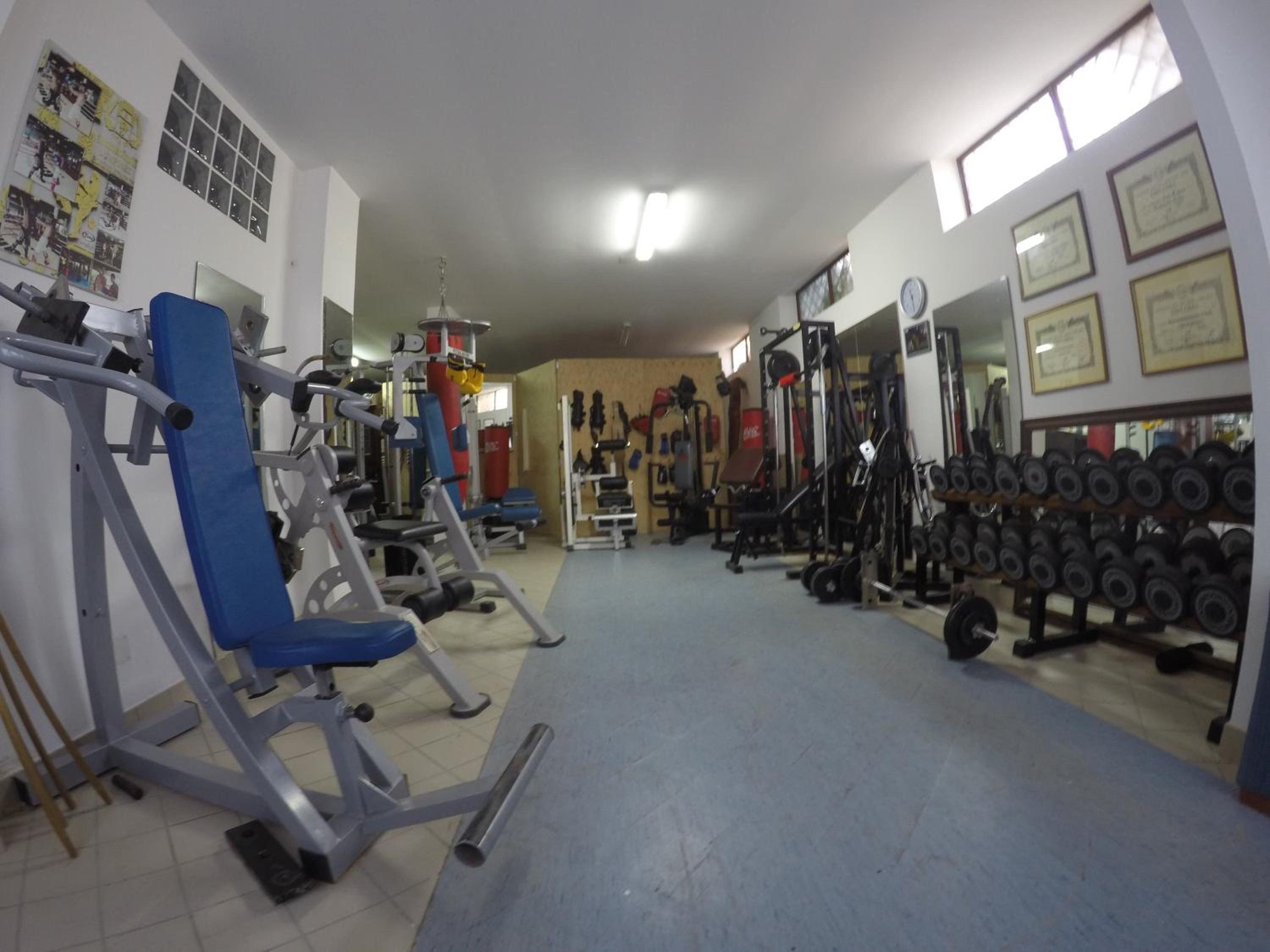 Photo 7