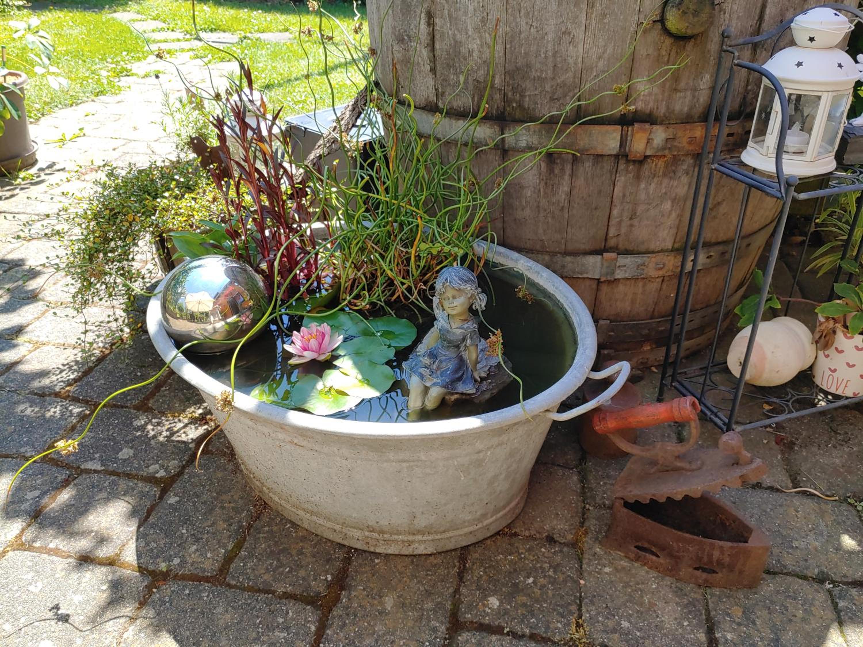 Photo 13