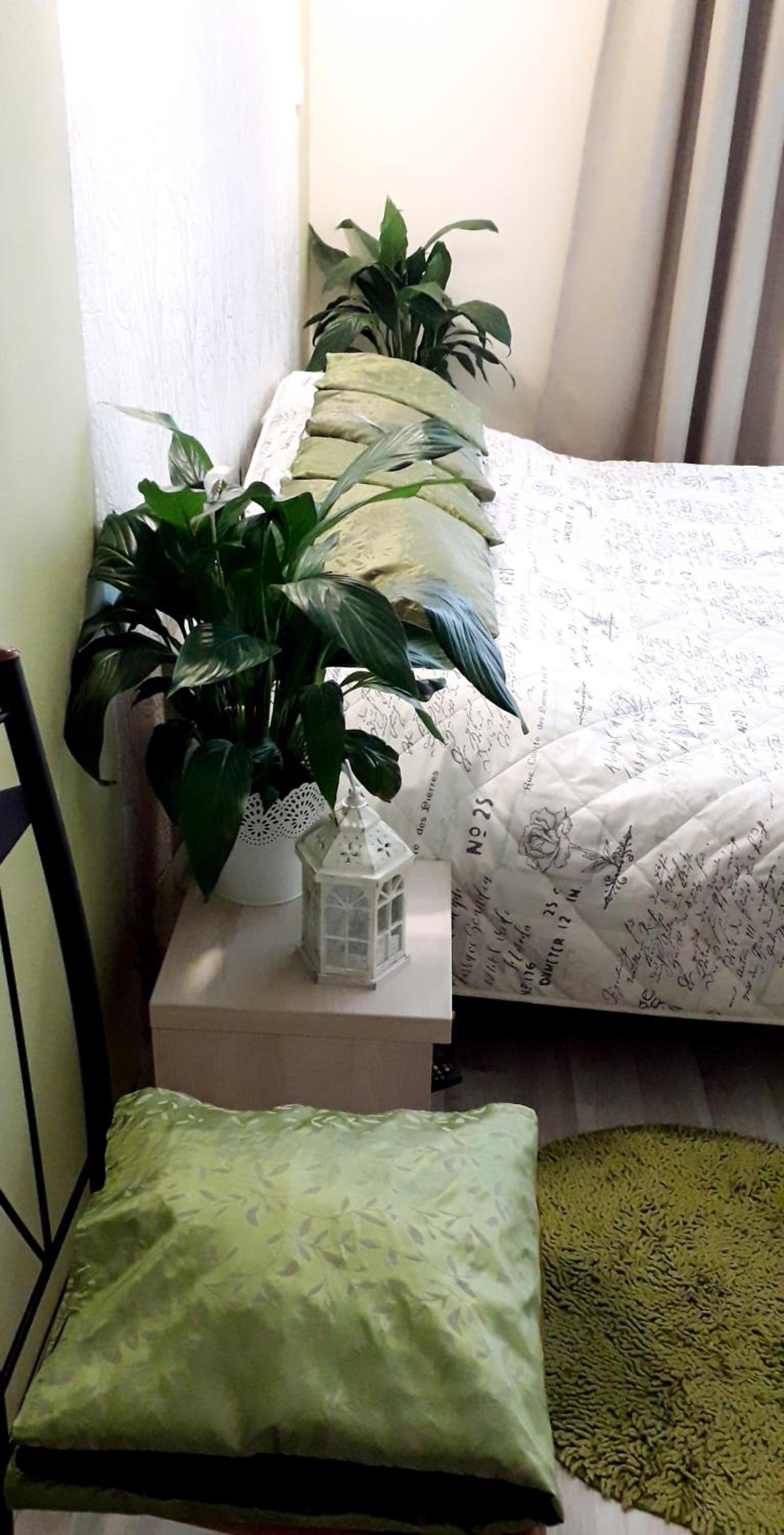 Diána Apartmanház view 5