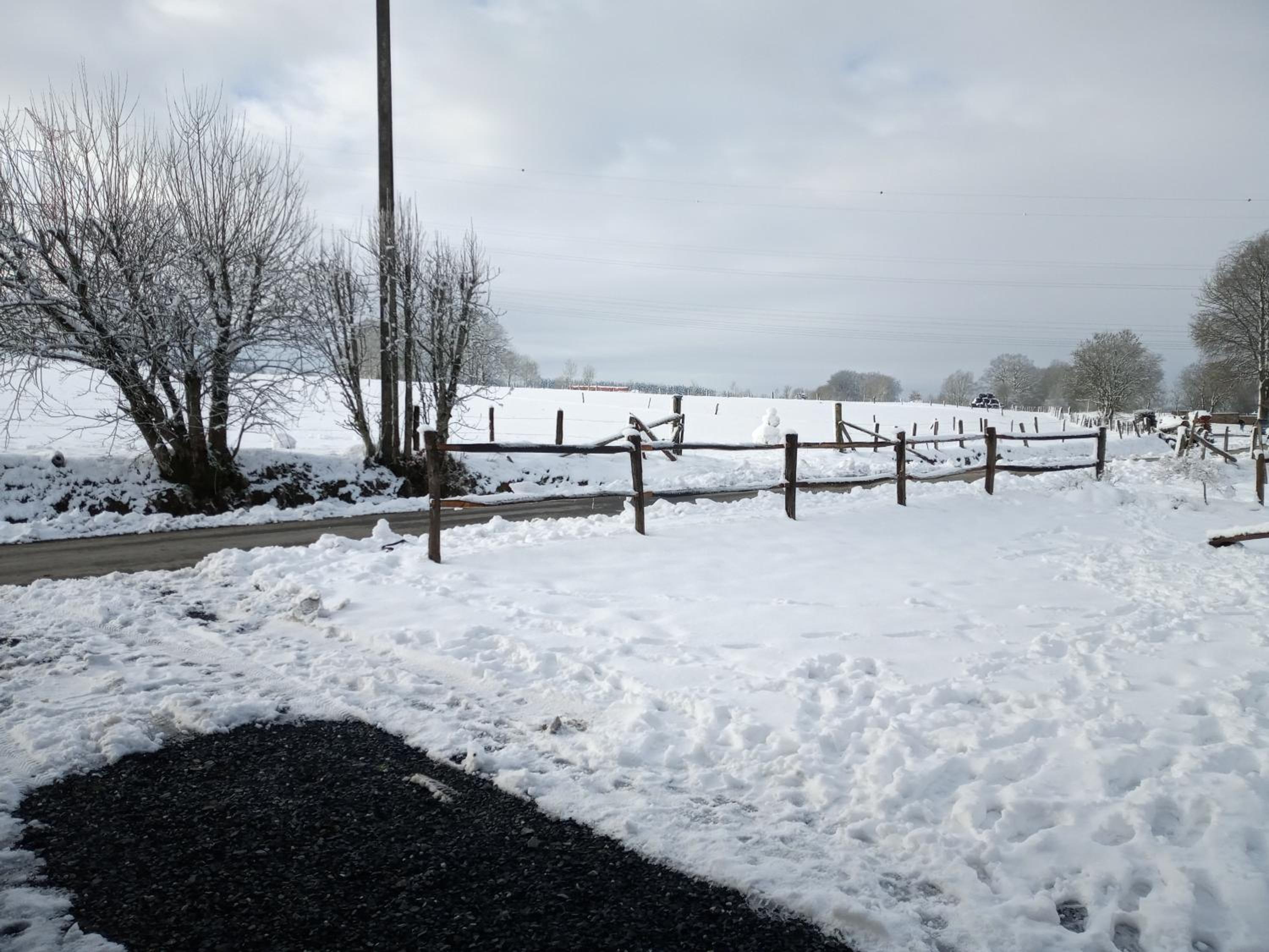 gîte Le cheval ardennais