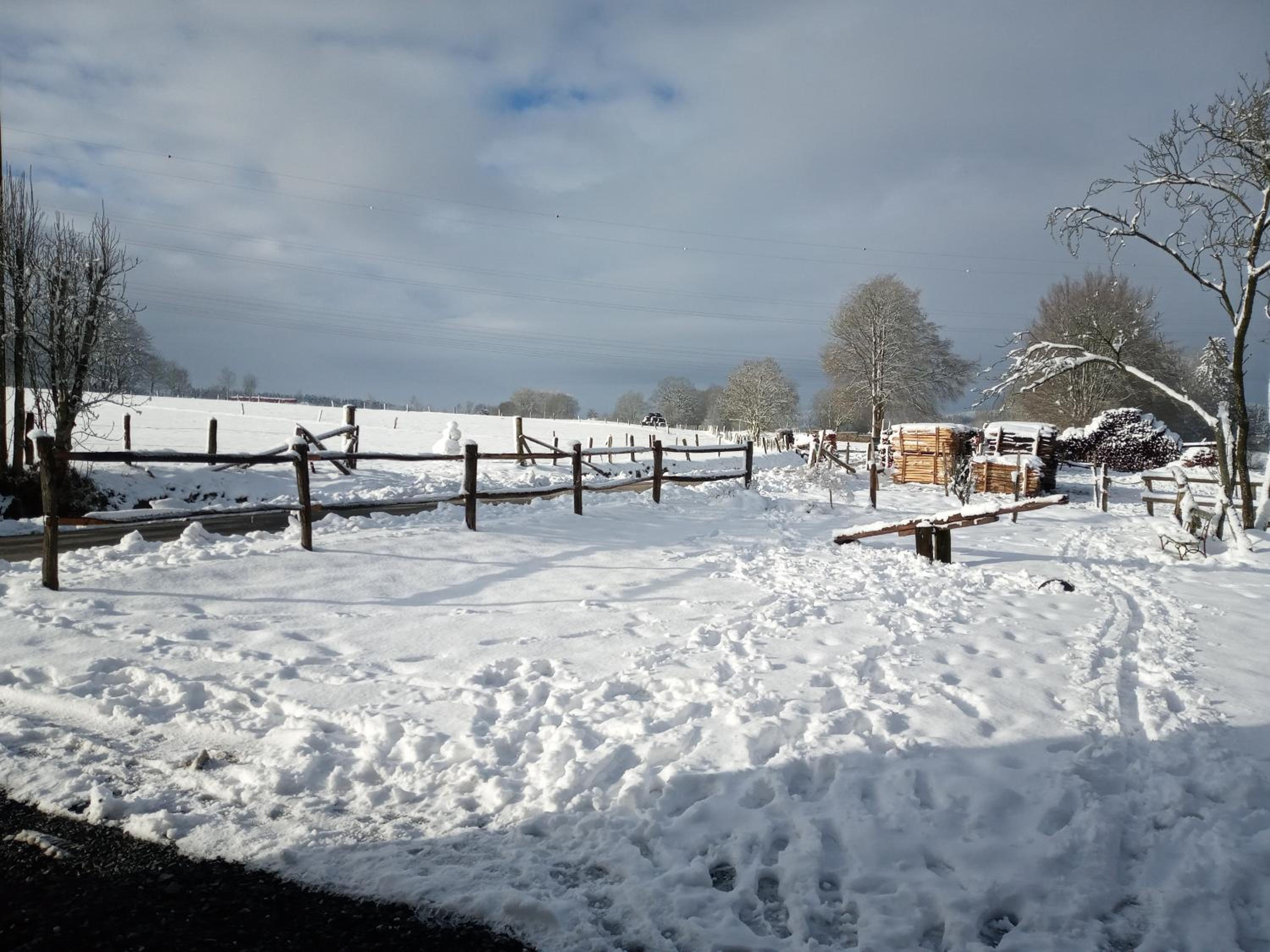 gîte Le cheval ardennais