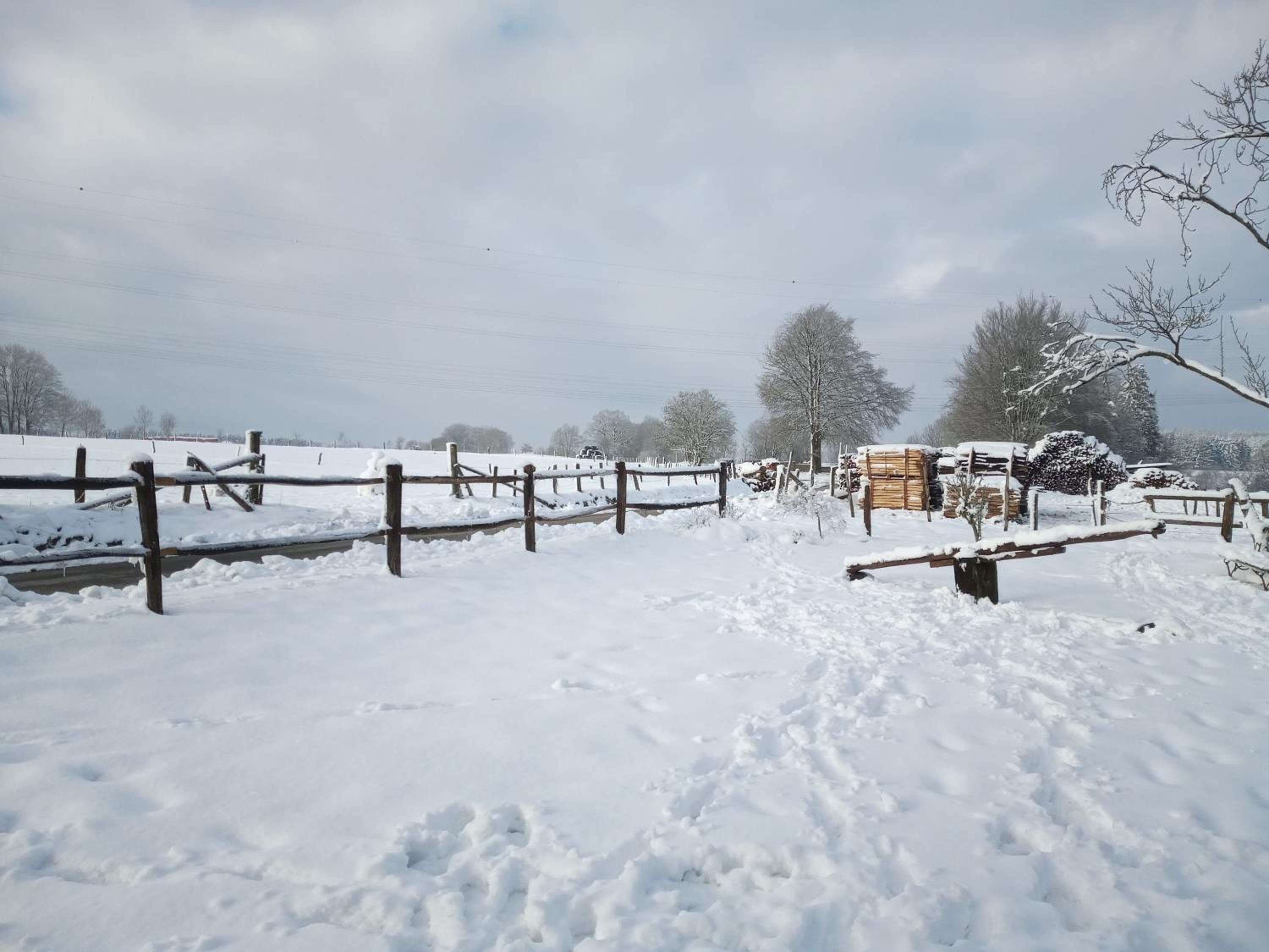 gîte Le cheval ardennais