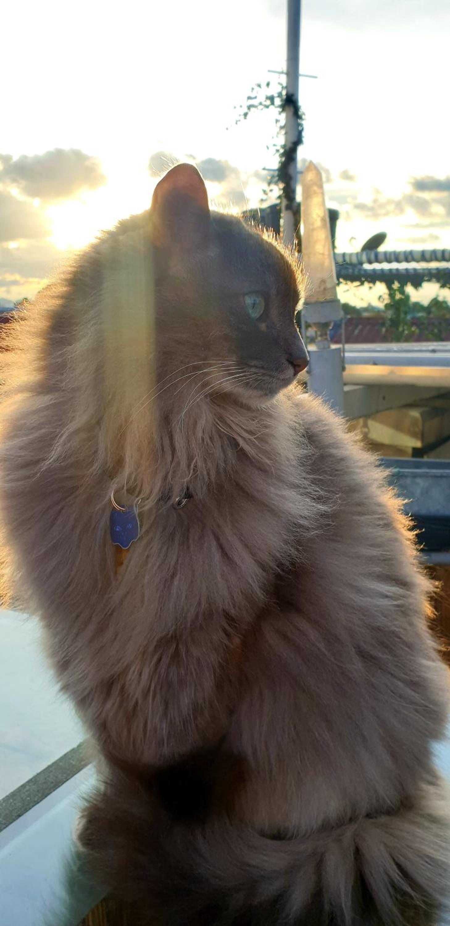 Mandala Yoga Hostel - Property Image 1