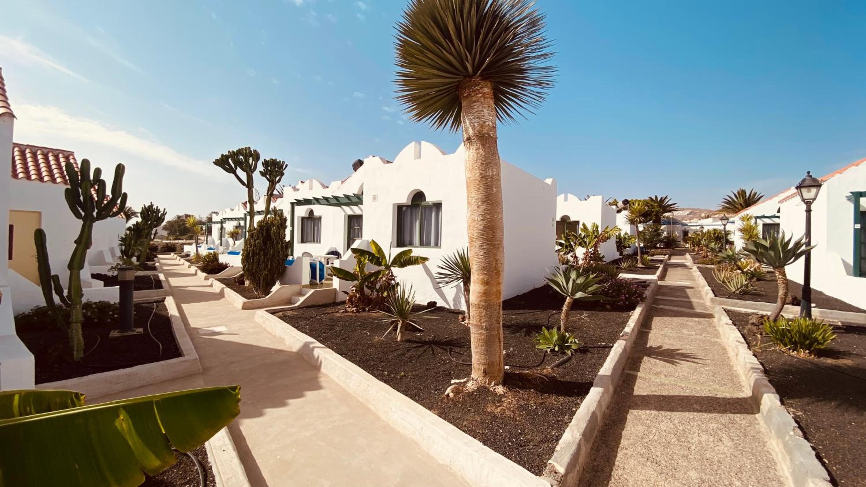 Casthotels Fuertesol Bungalows