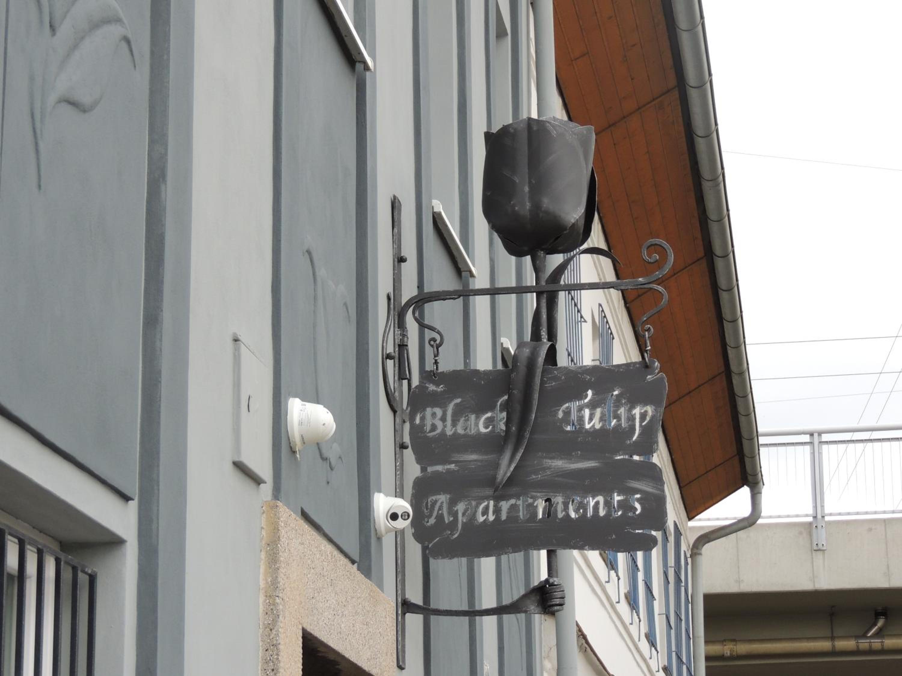 Hotel Černý Tulipán - Apartmán 4 - Image 1