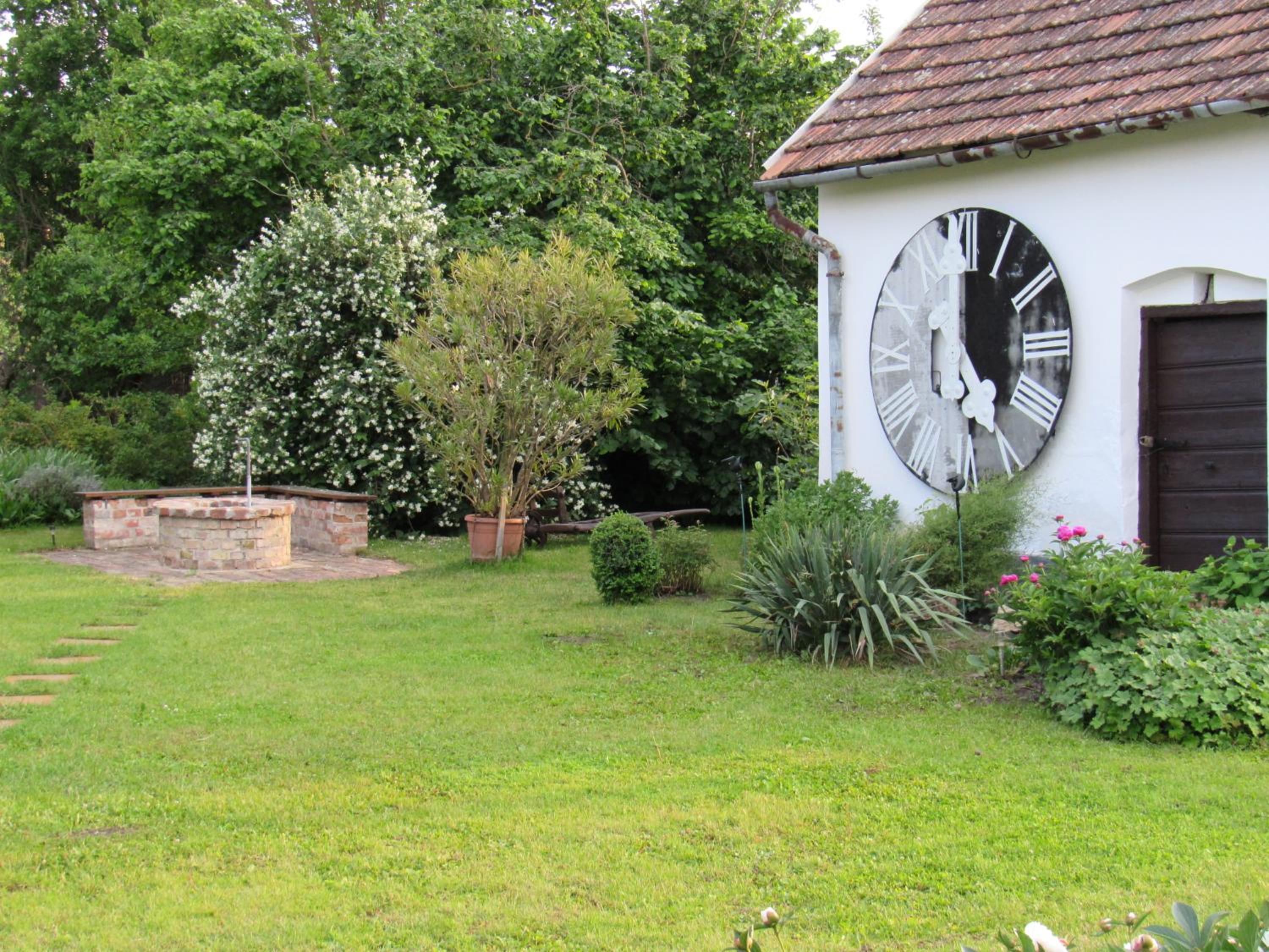Photo 43