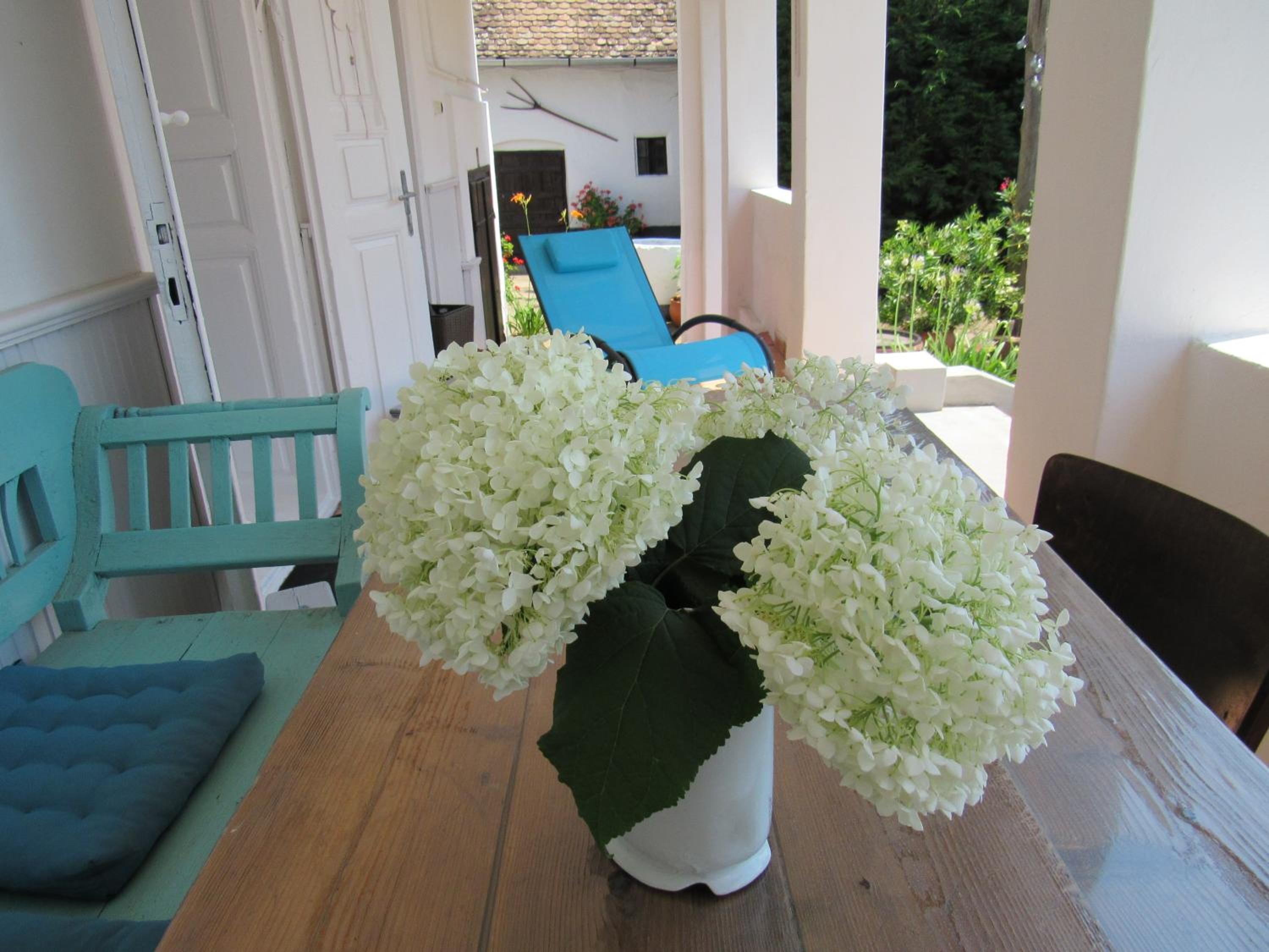 Photo 42