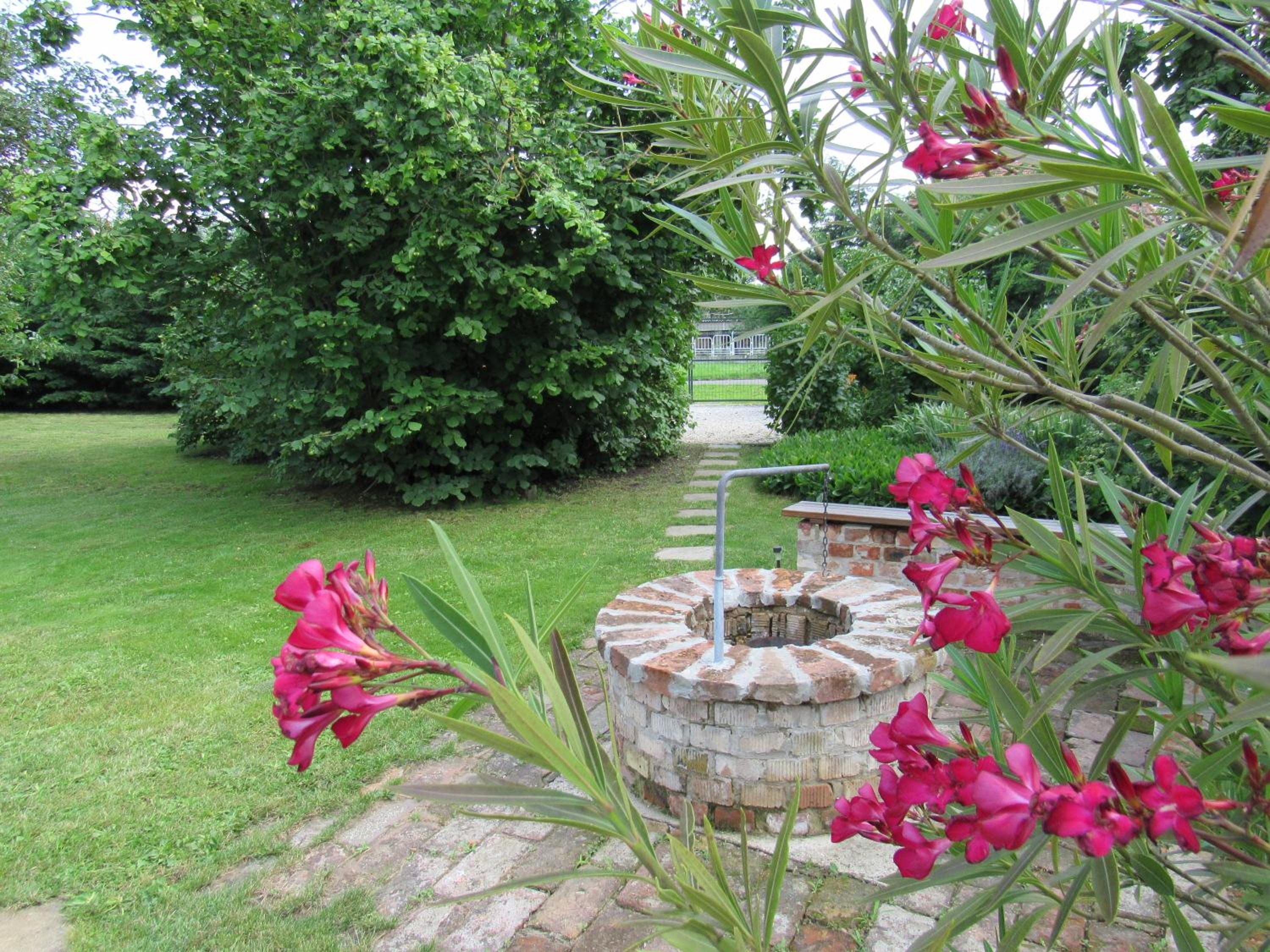 Photo 35