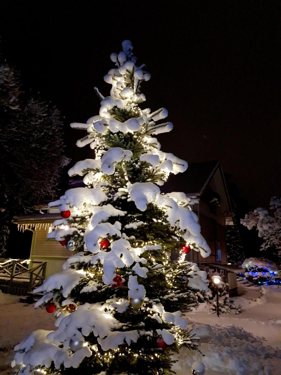 Photo 27